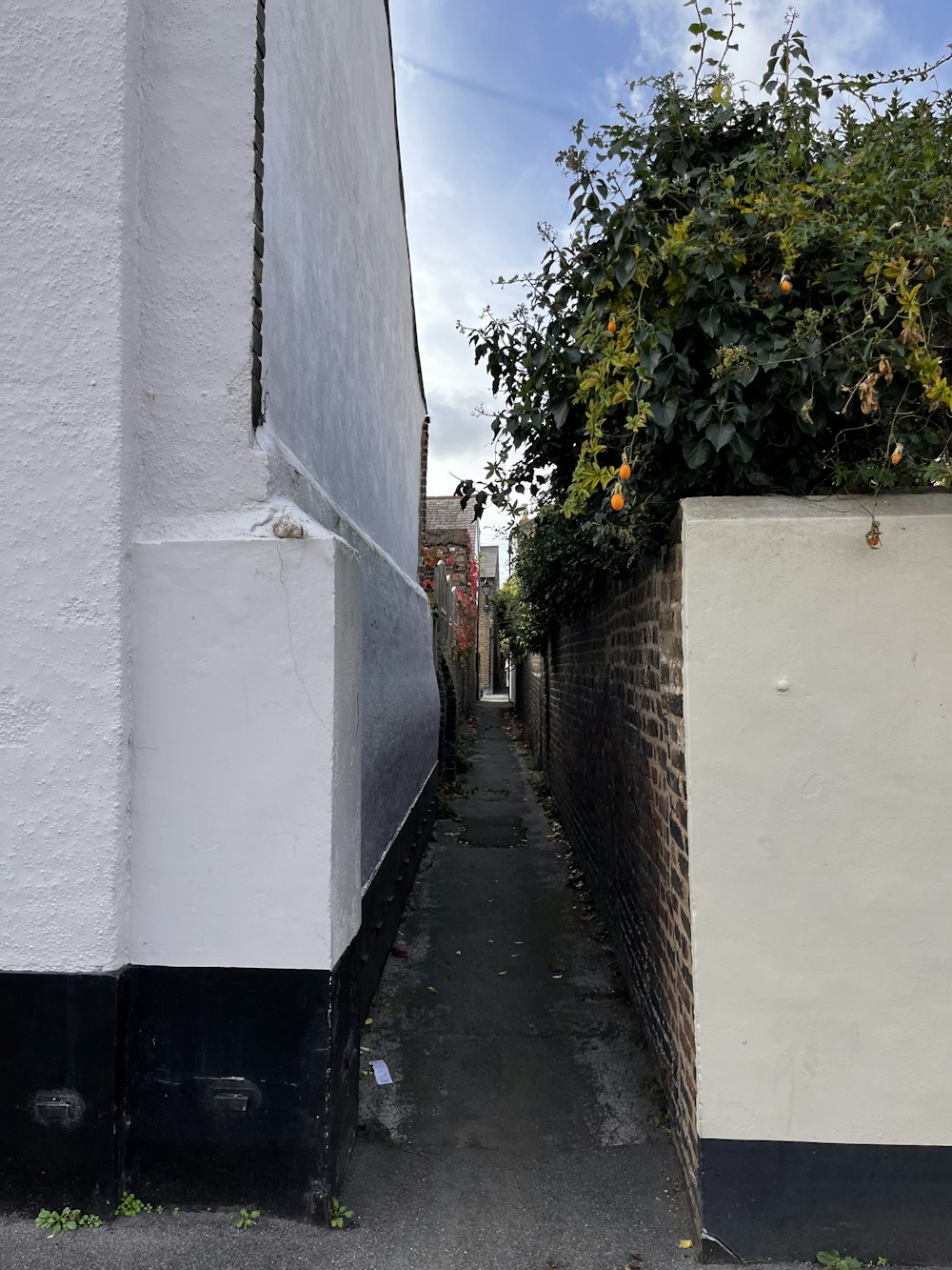 a narrow alley between two white buildings