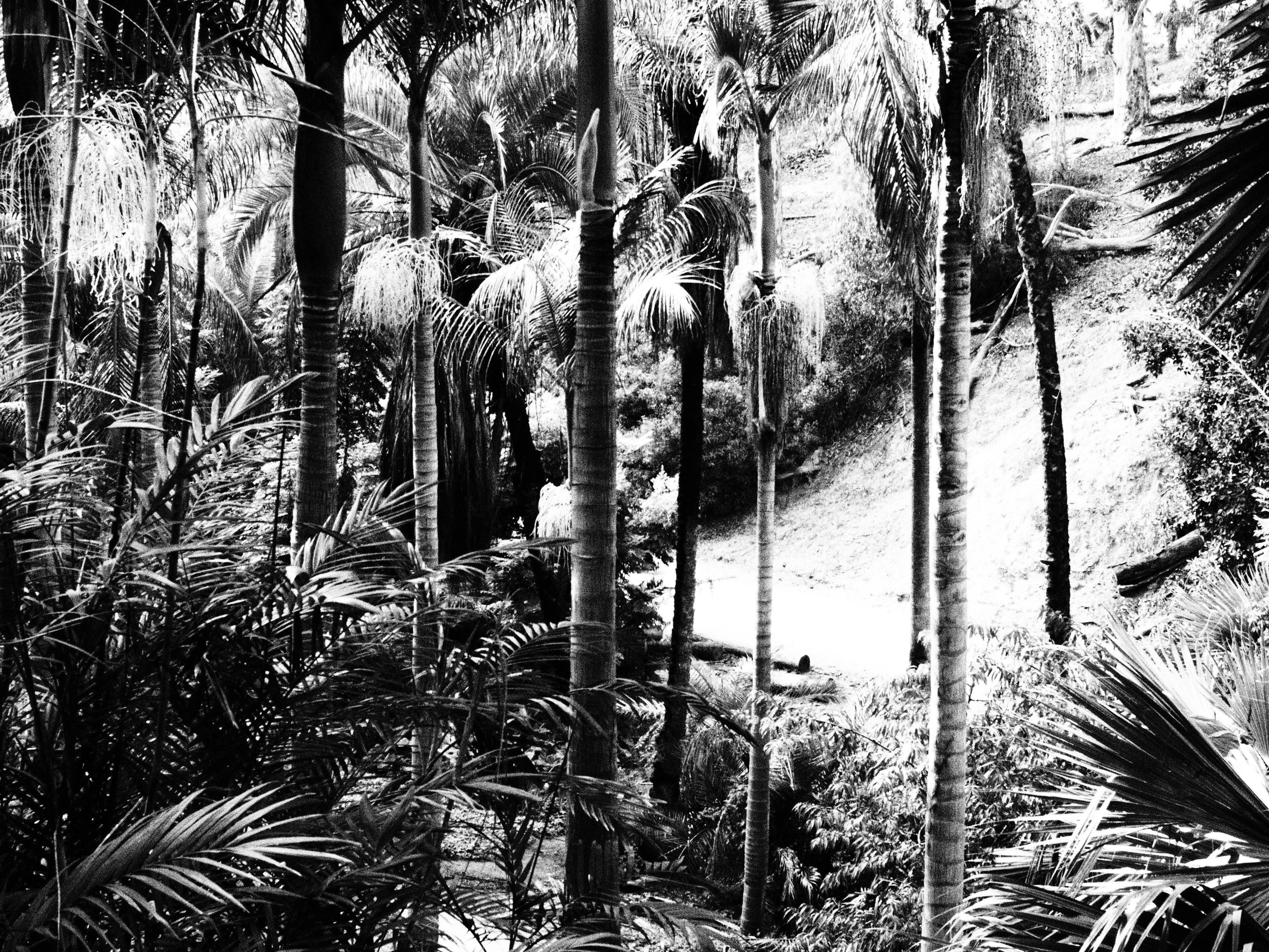 Photo by cerberus44233