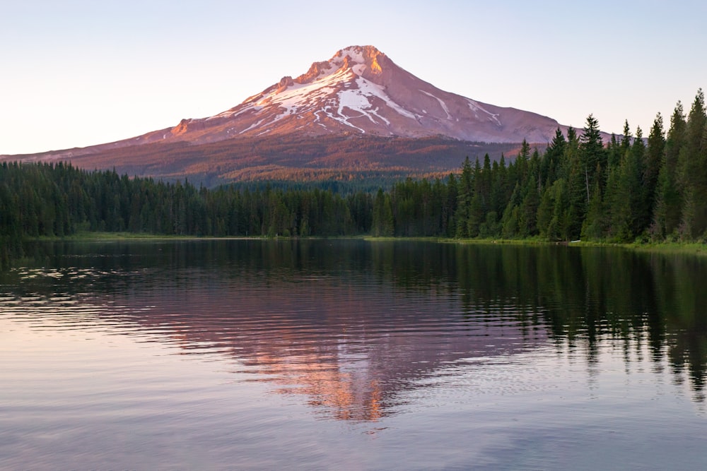 a mountain with trees and water below