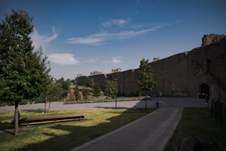 a road with grass and trees by a stone wall and a road