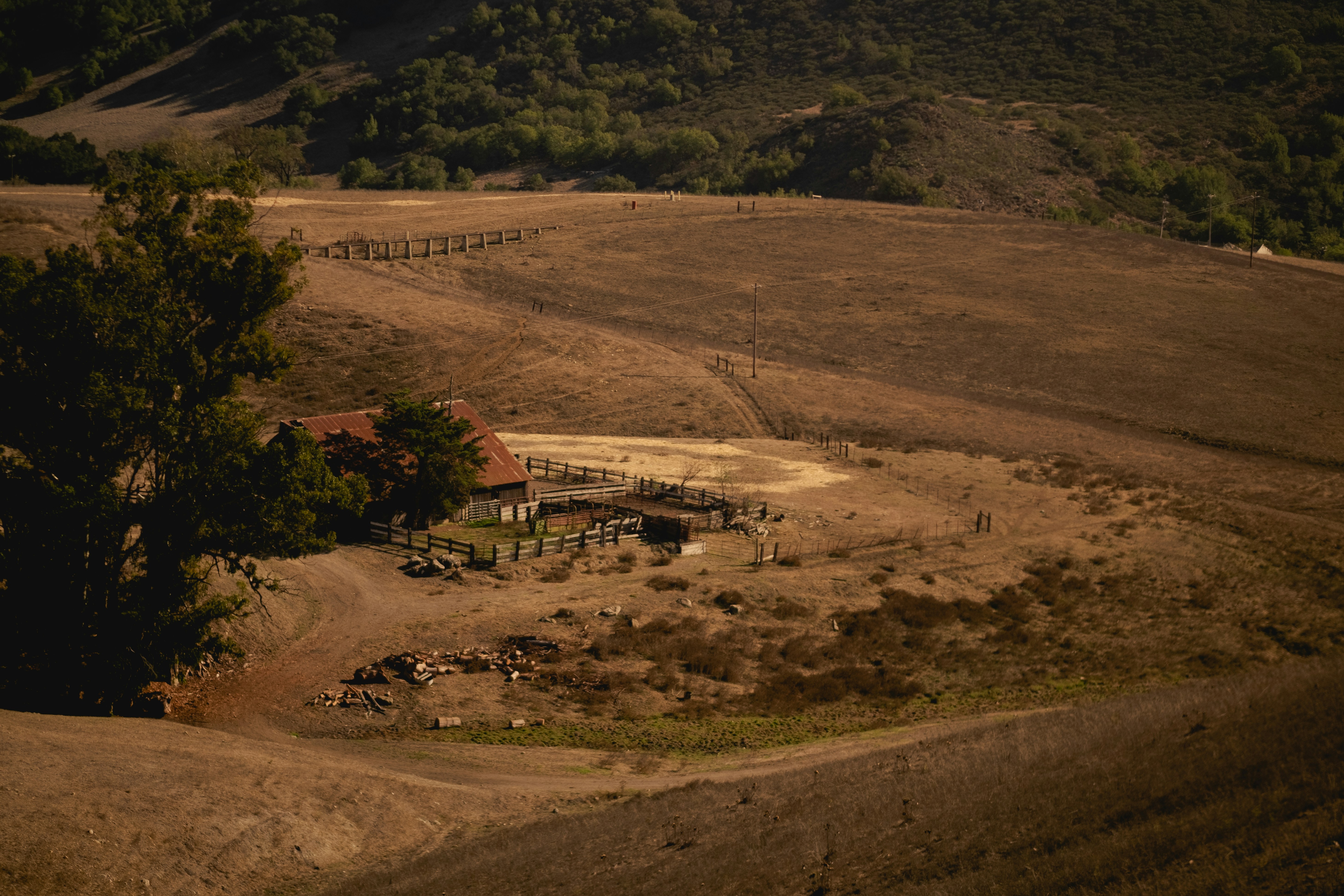 Photo by levimeirclancy