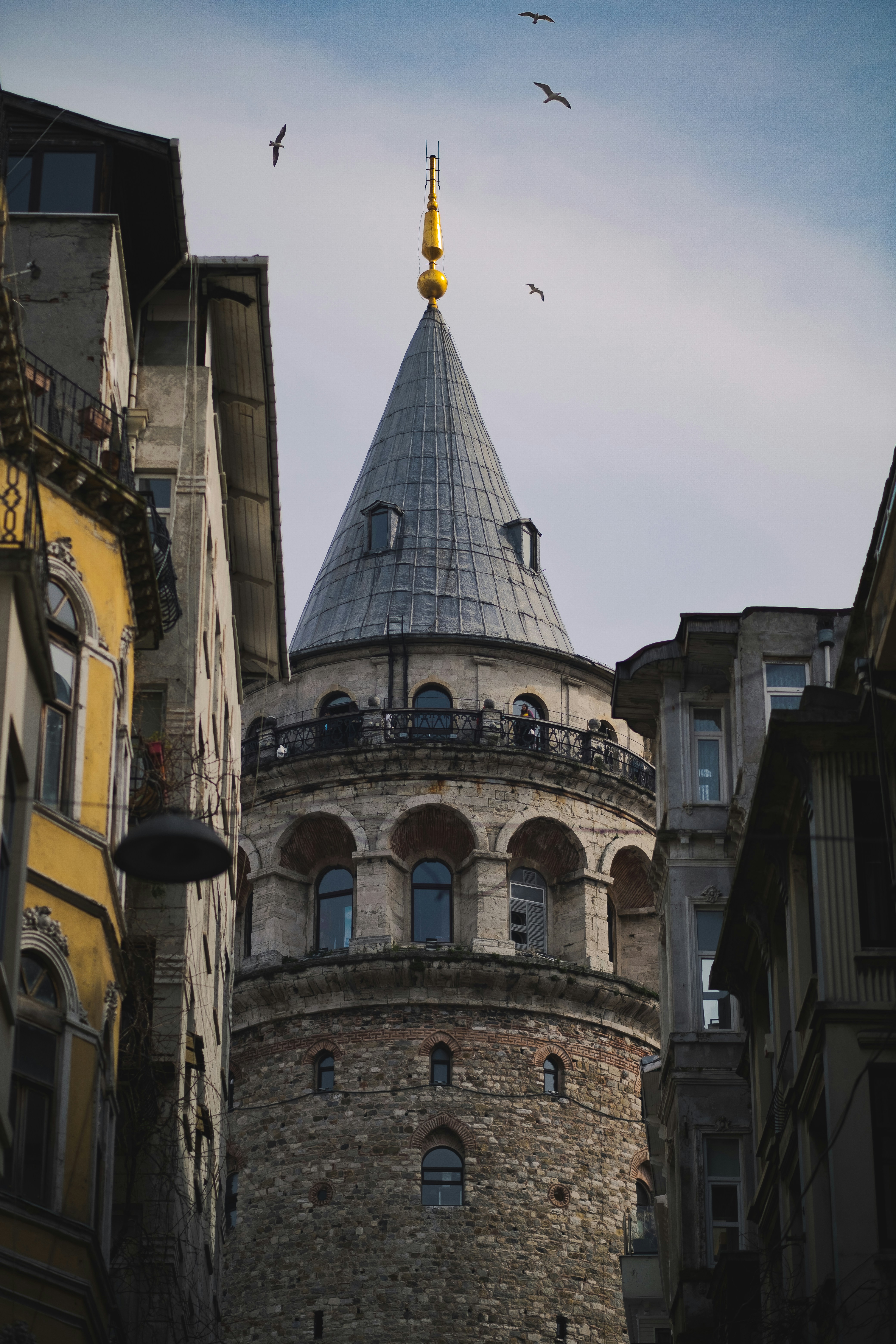 a group of birds fly over a large building