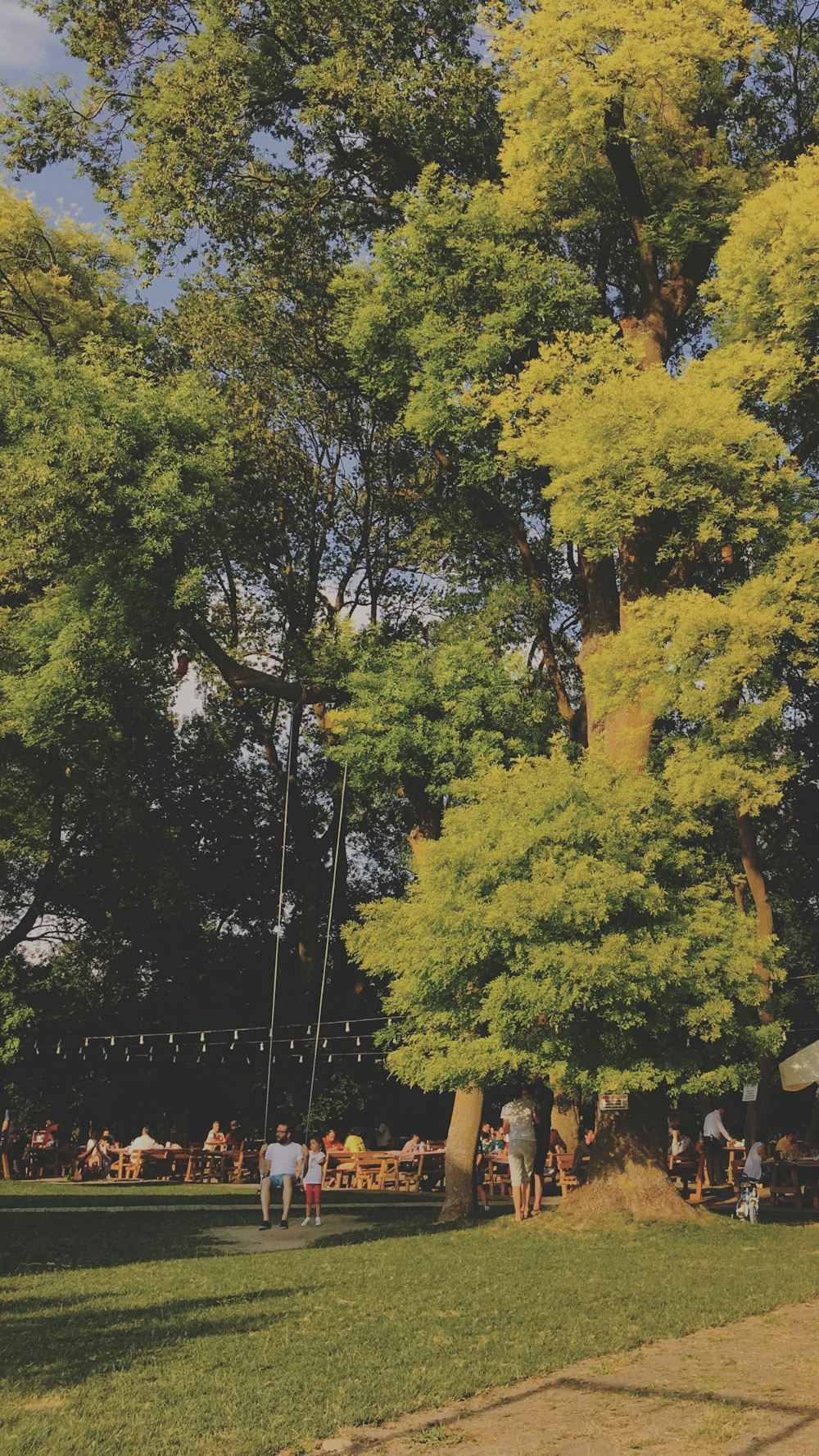 a group of people at a park