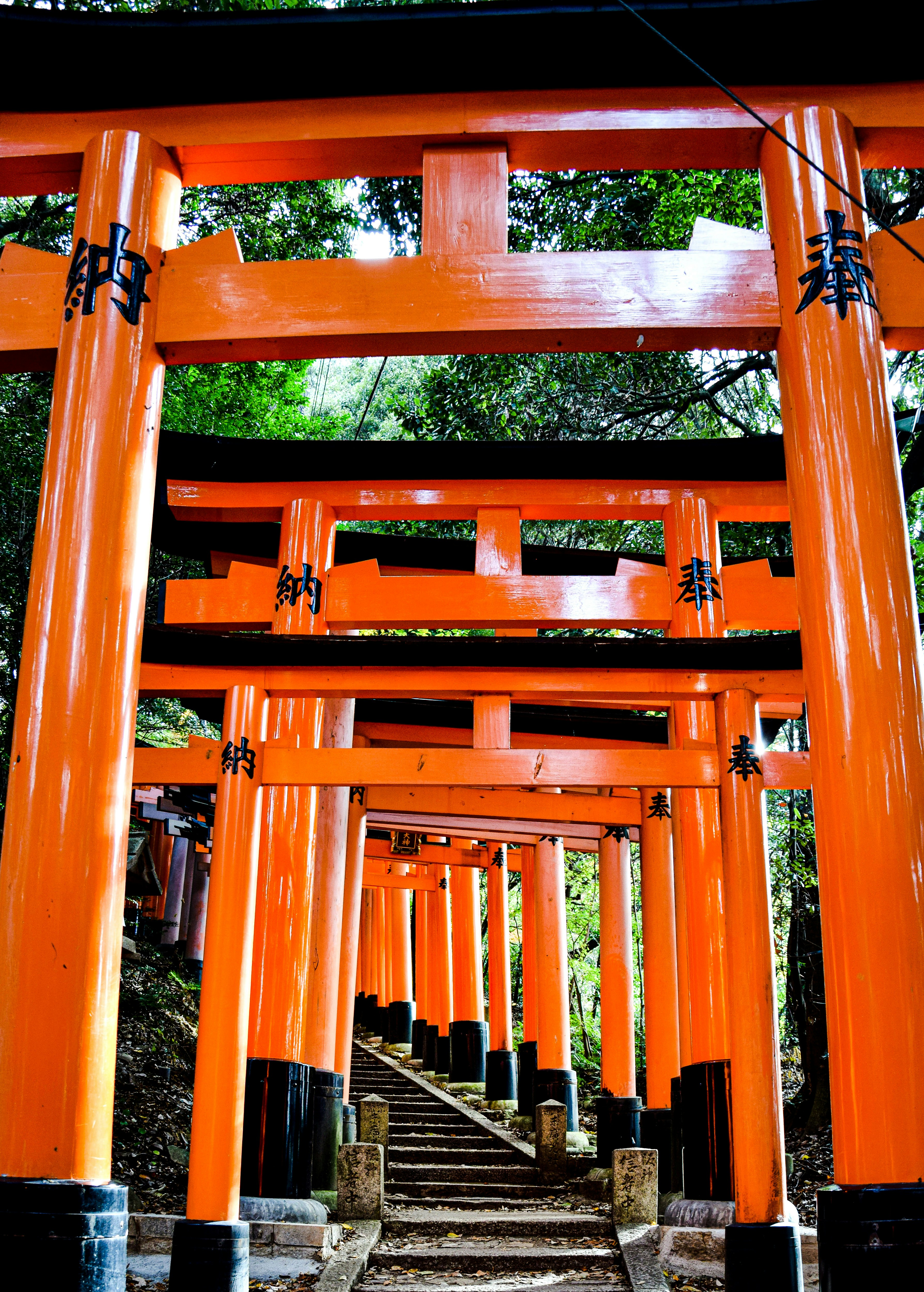 Kyoto on a Shoestring: Free & Cheap Must-Do Activities (2025)