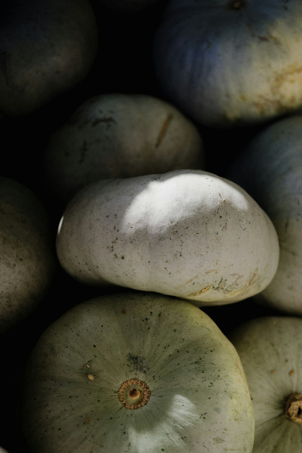 a group of potatoes