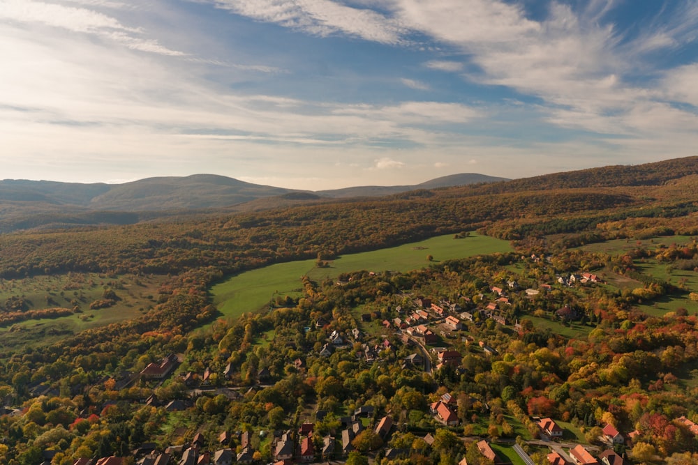 a landscape with trees and buildings