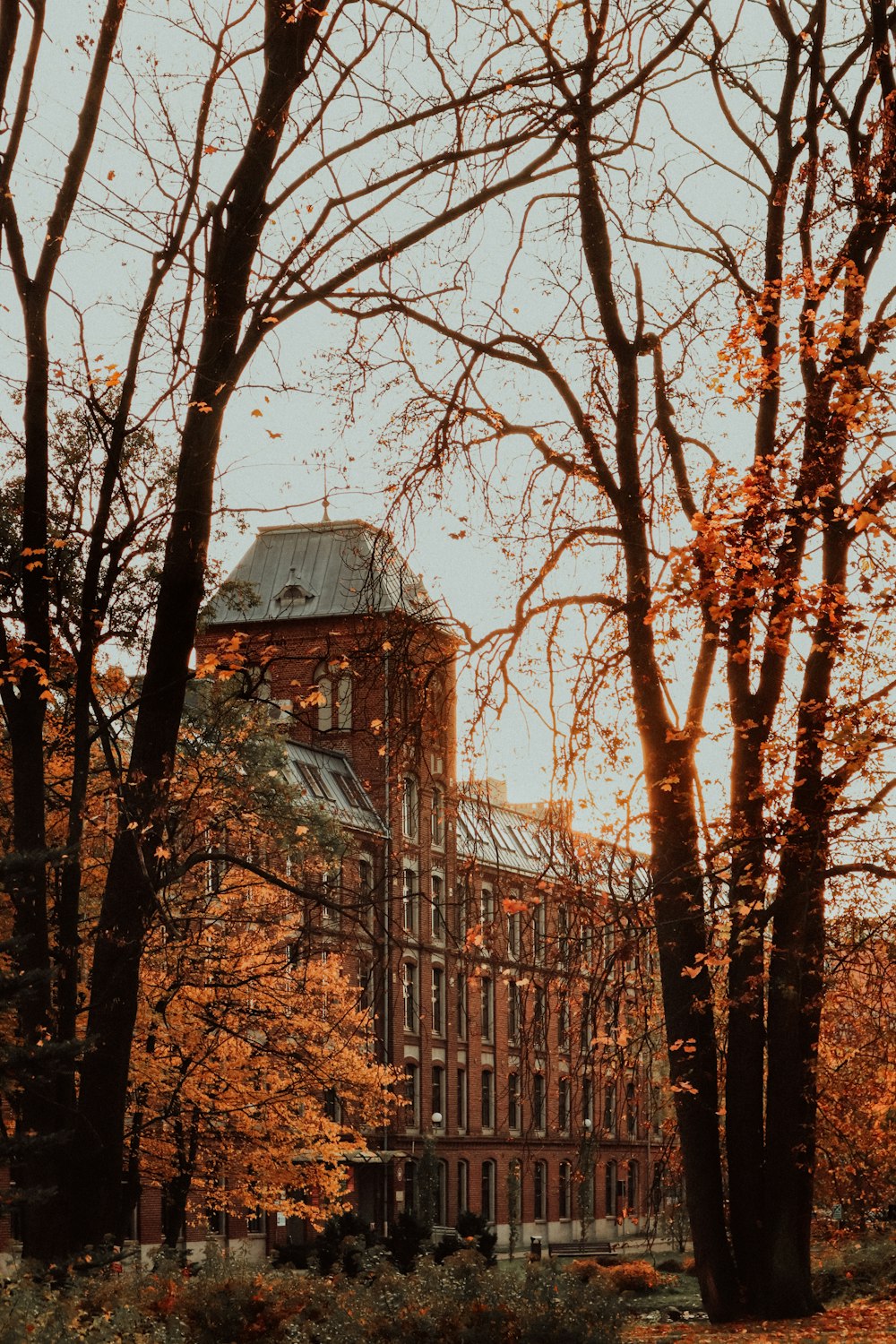 a building with a tower surrounded by trees