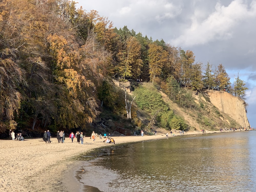 a group of people on a beach