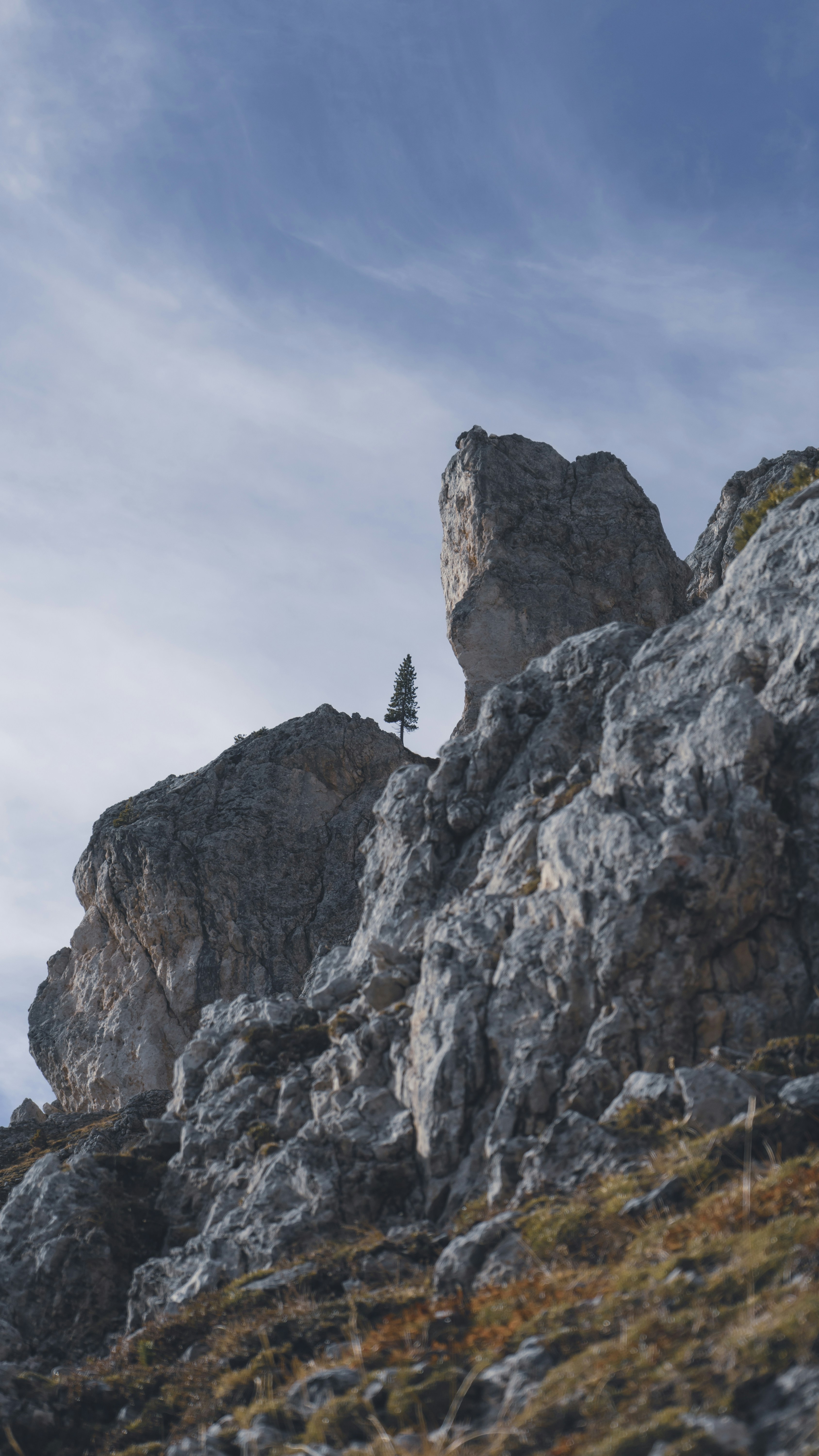 Photo by alexander_carsten