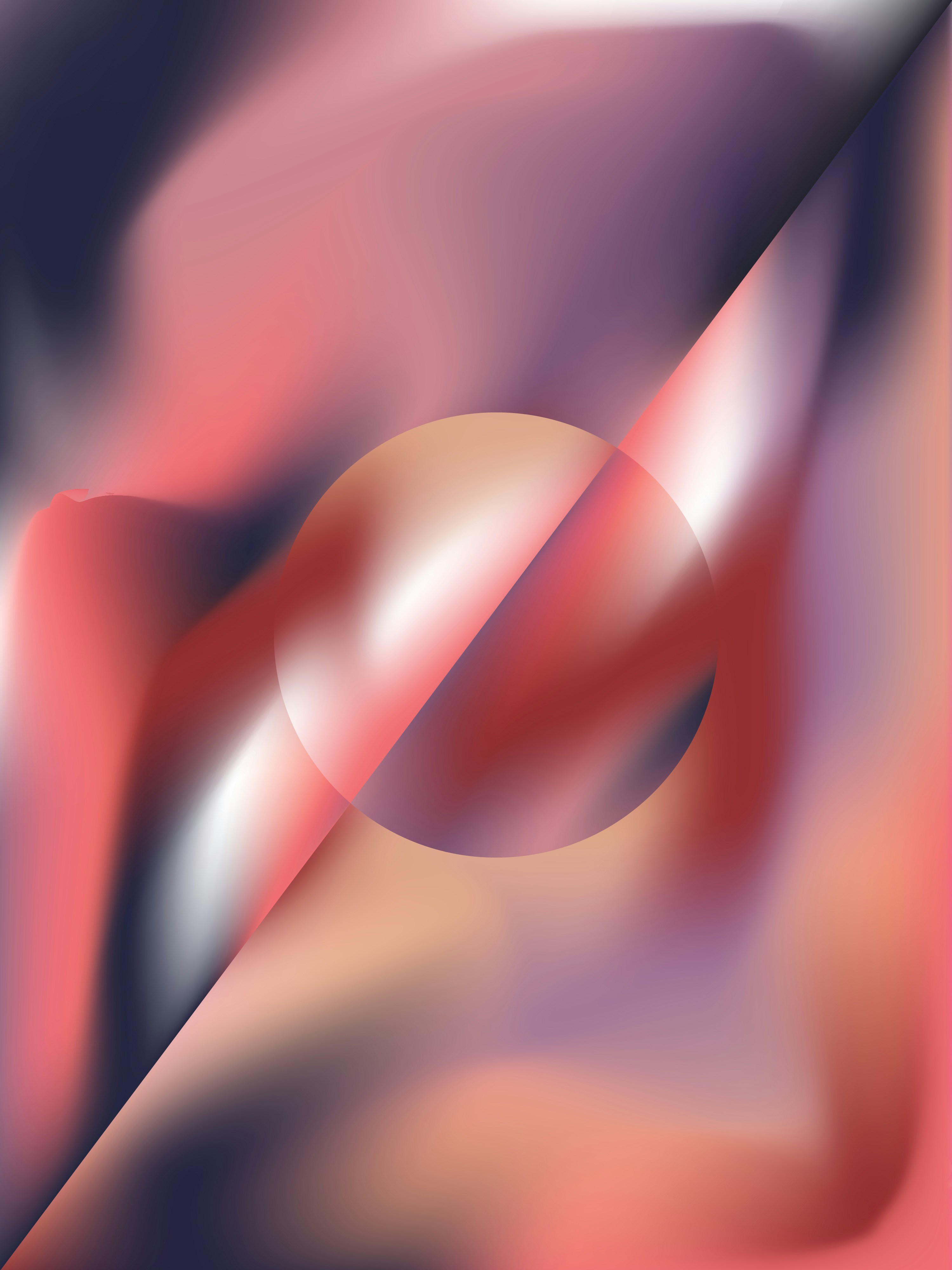 Photo by alejvasquezdesign