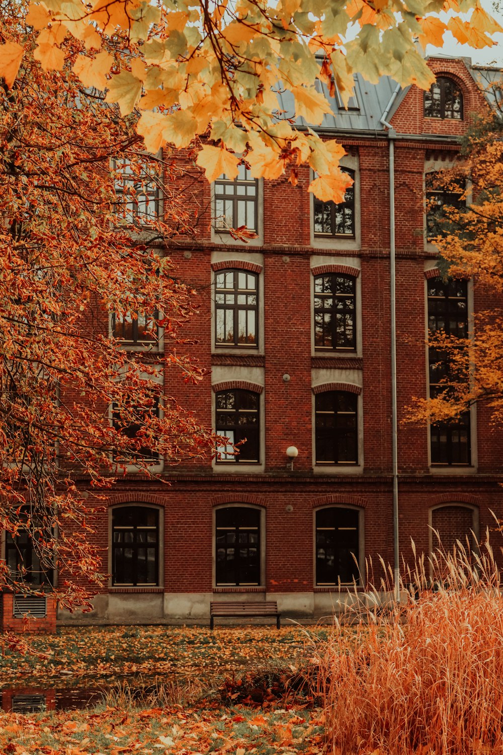 a brick building with many windows