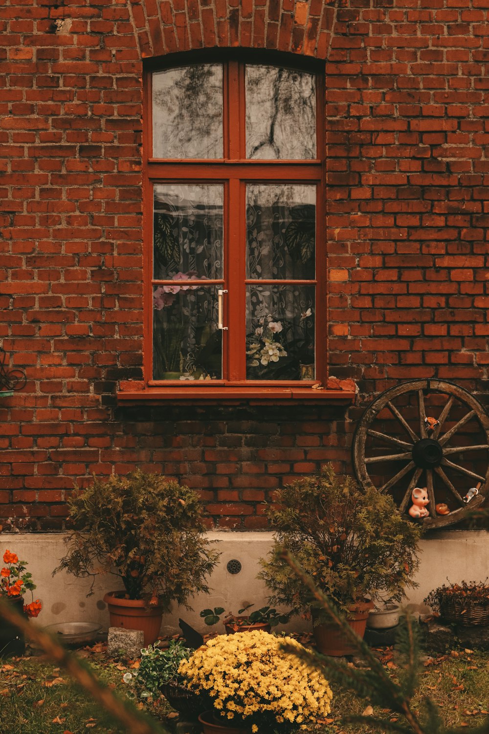a window with a wheel and plants in front of it