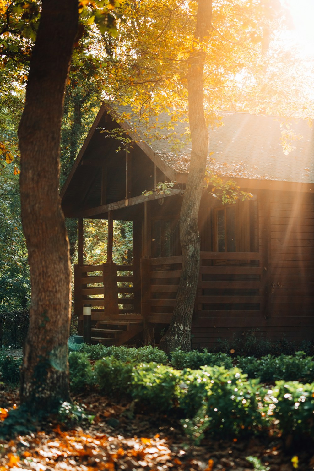 a wooden cabin in the woods