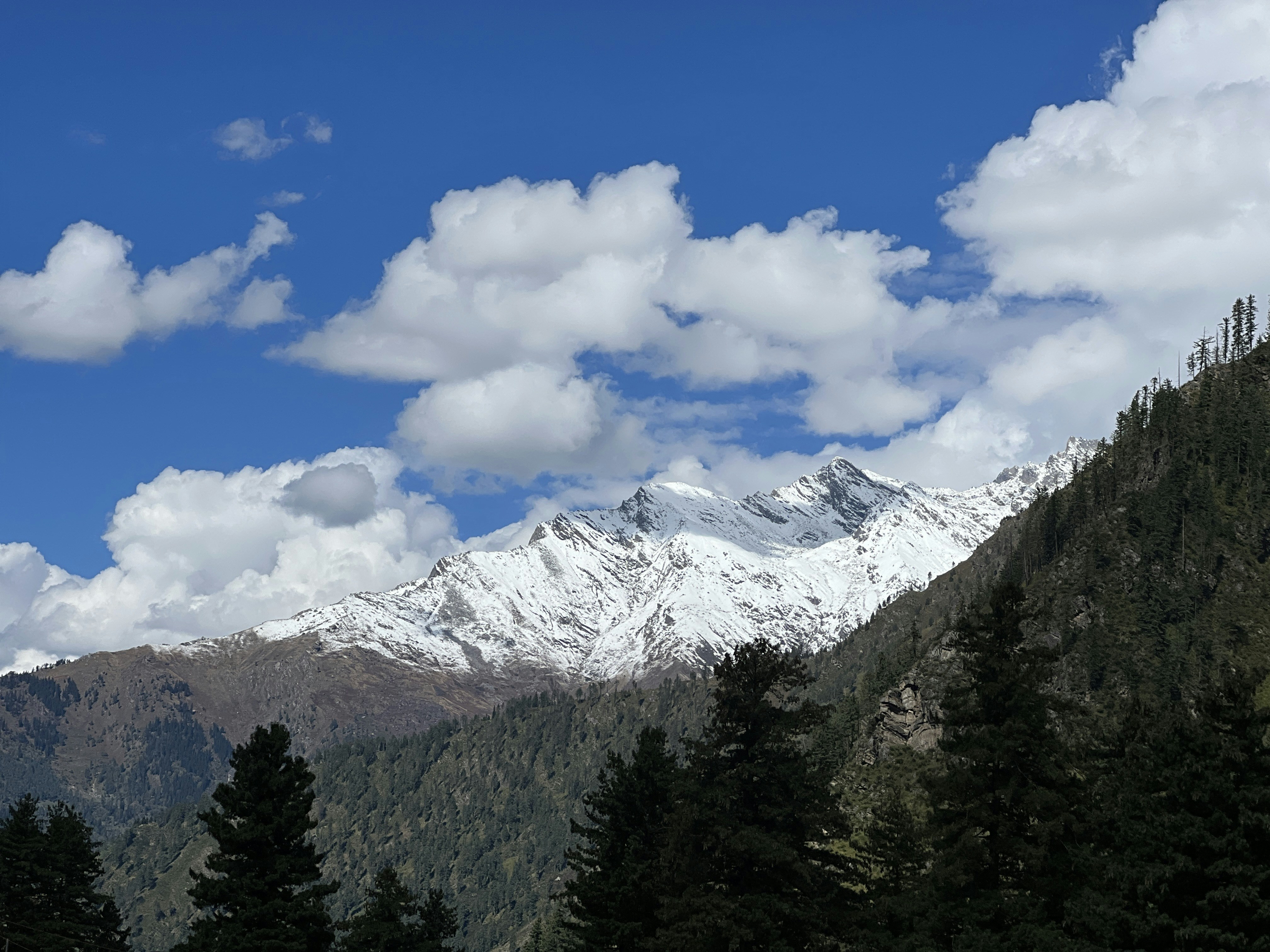 Photo by surajwandile