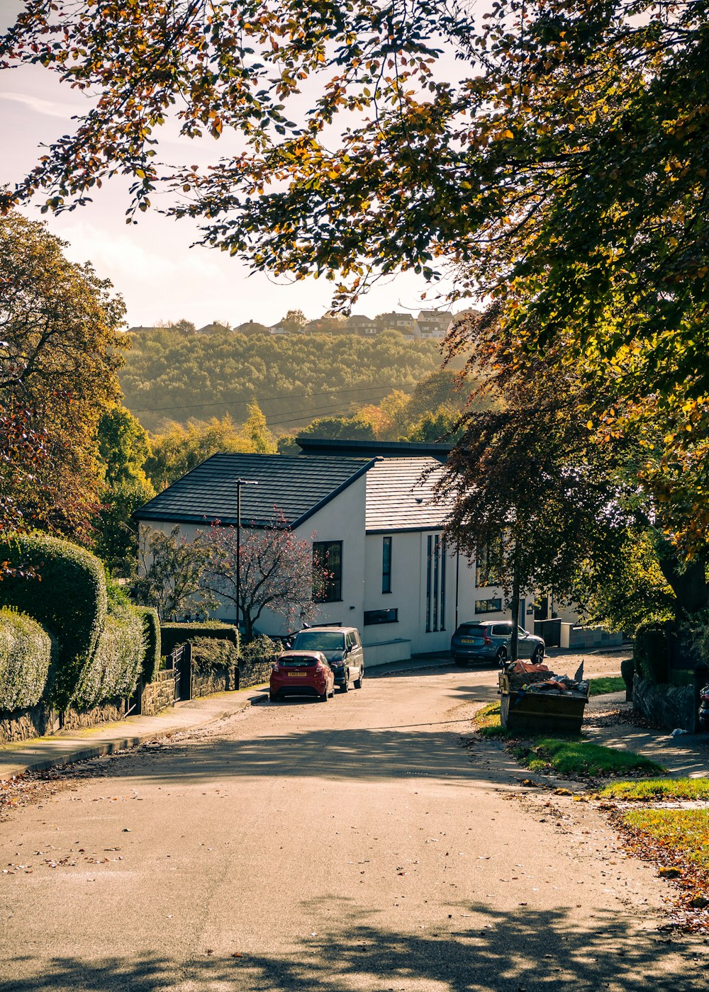 a house with a driveway and trees around it