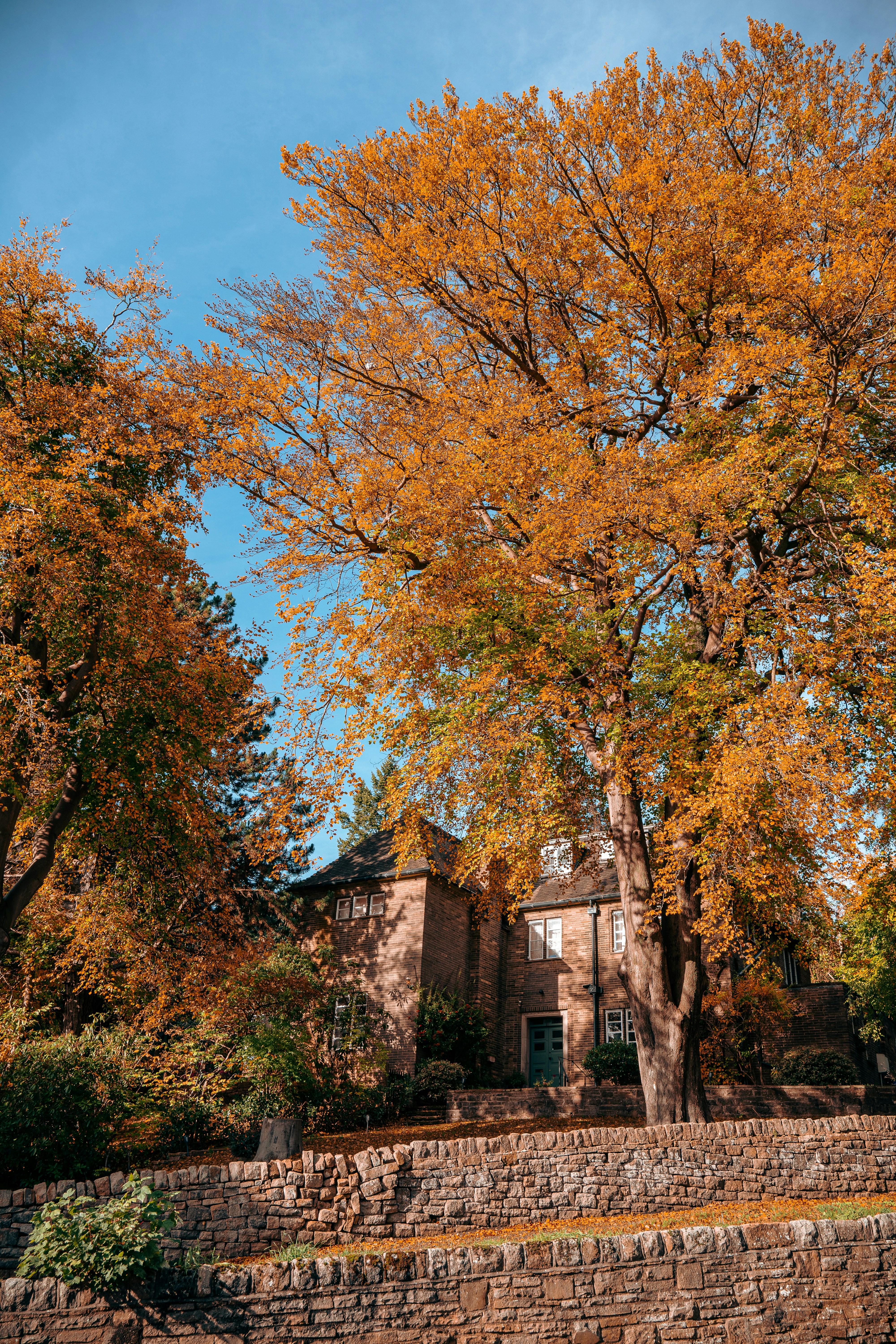 Photo by benjaminelliott