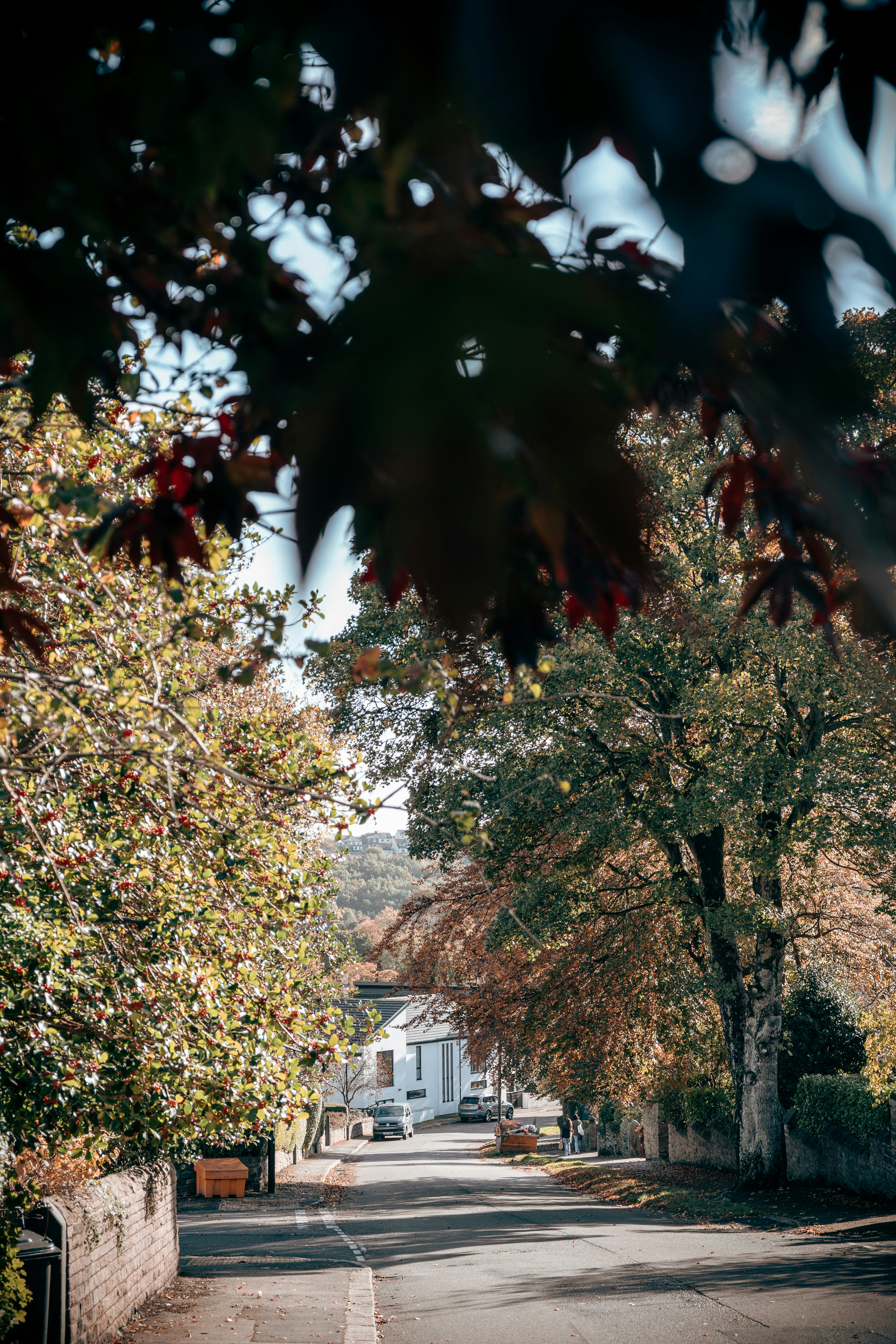 Photo by benjaminelliott