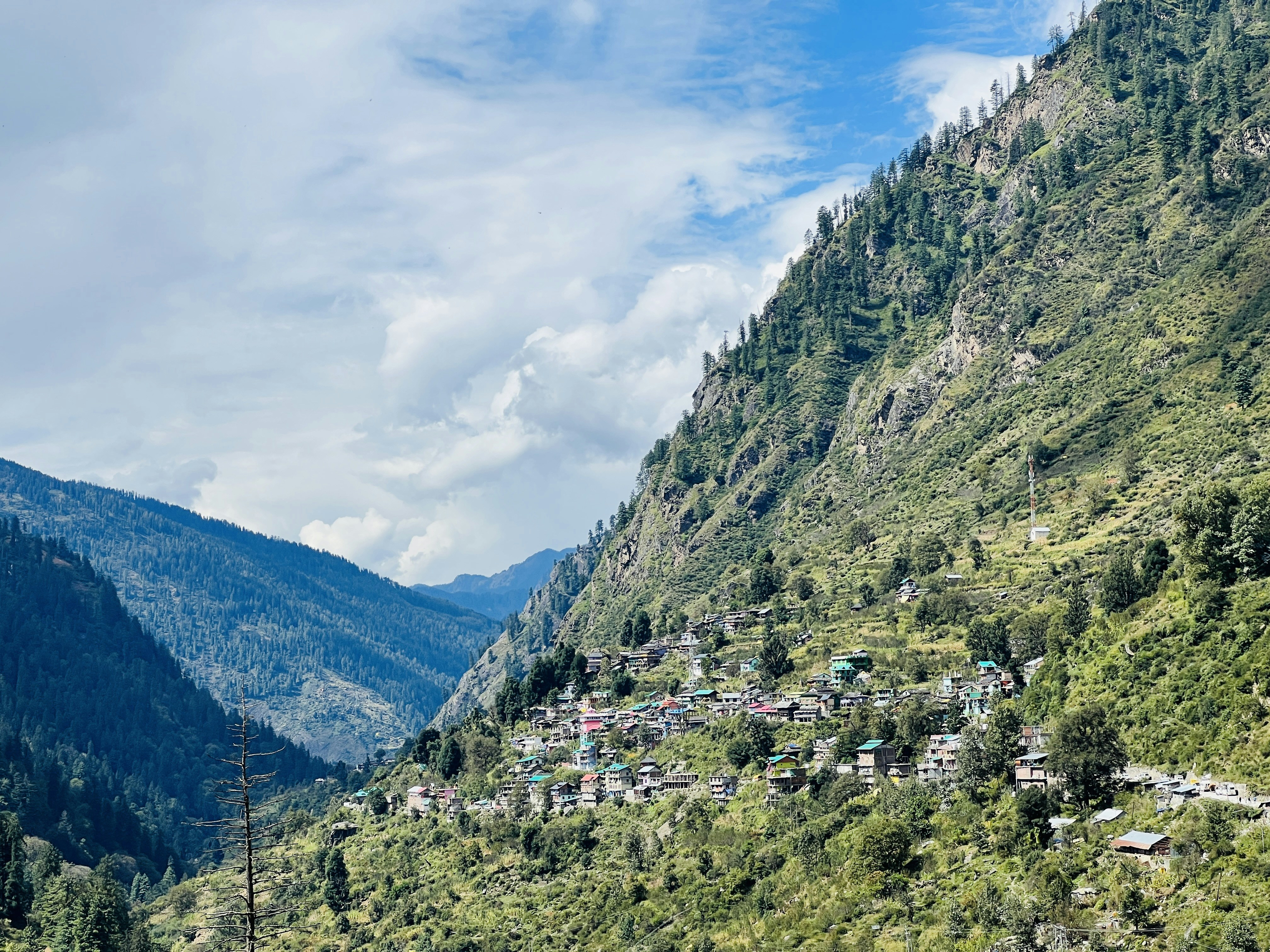 Photo by surajwandile