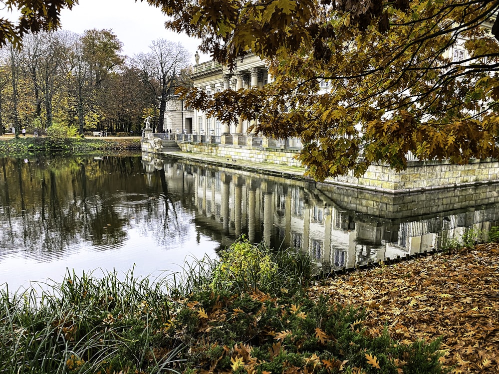 a pond with a building in the background