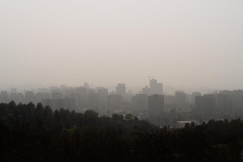 a city skyline with trees