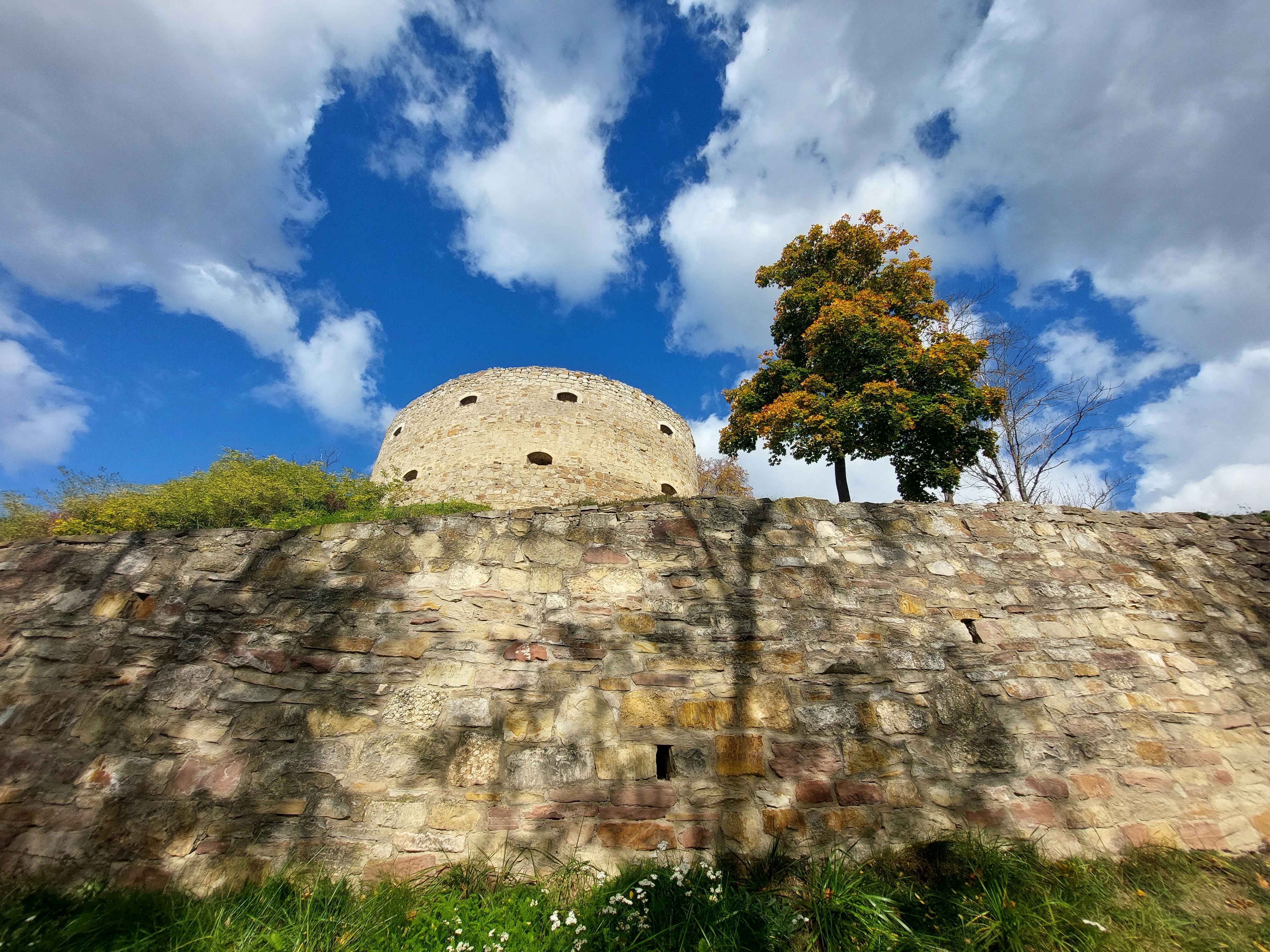 Un muro de piedra con un árbol y un cielo azul