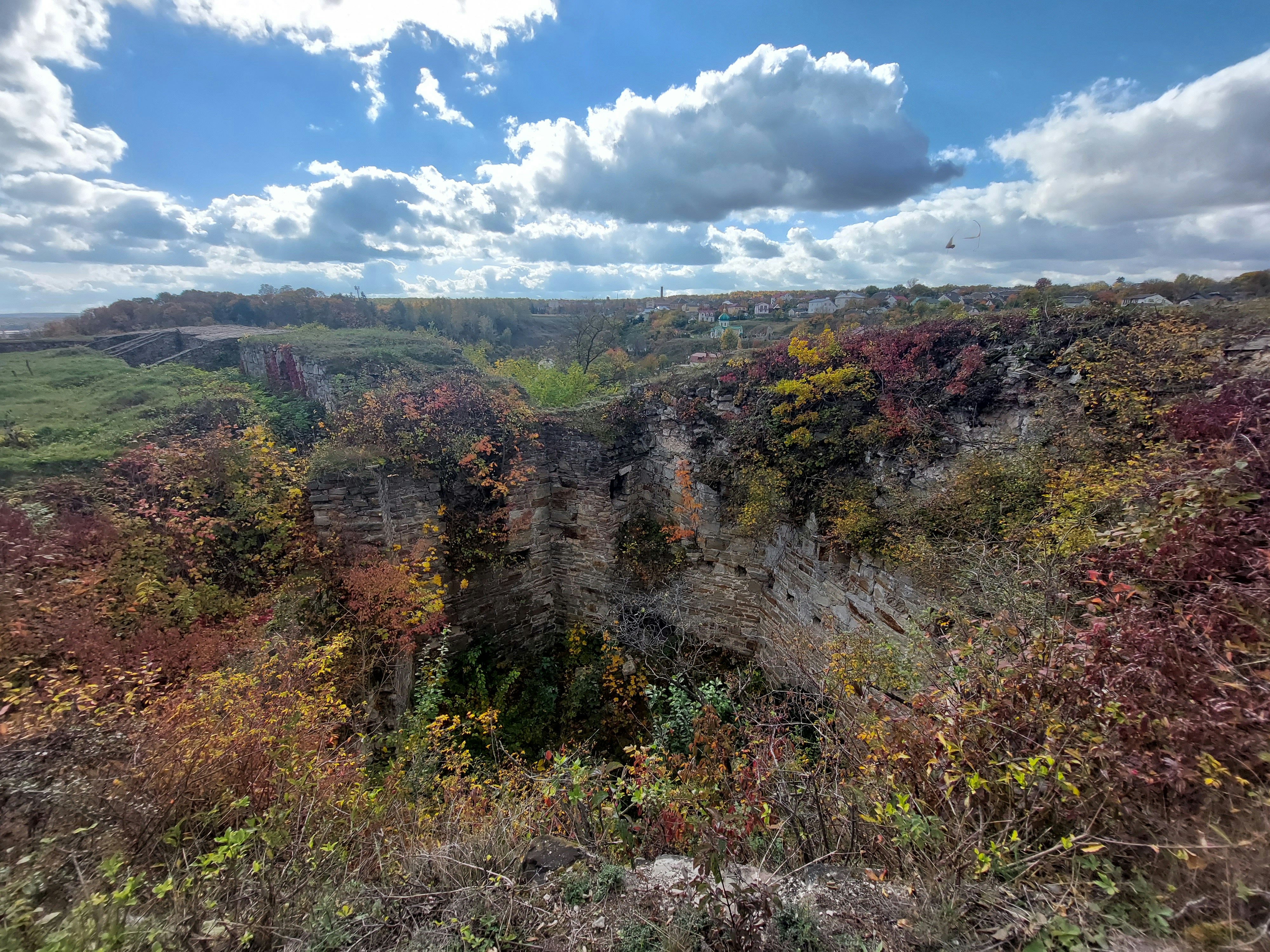 Un paisaje con árboles y arbustos