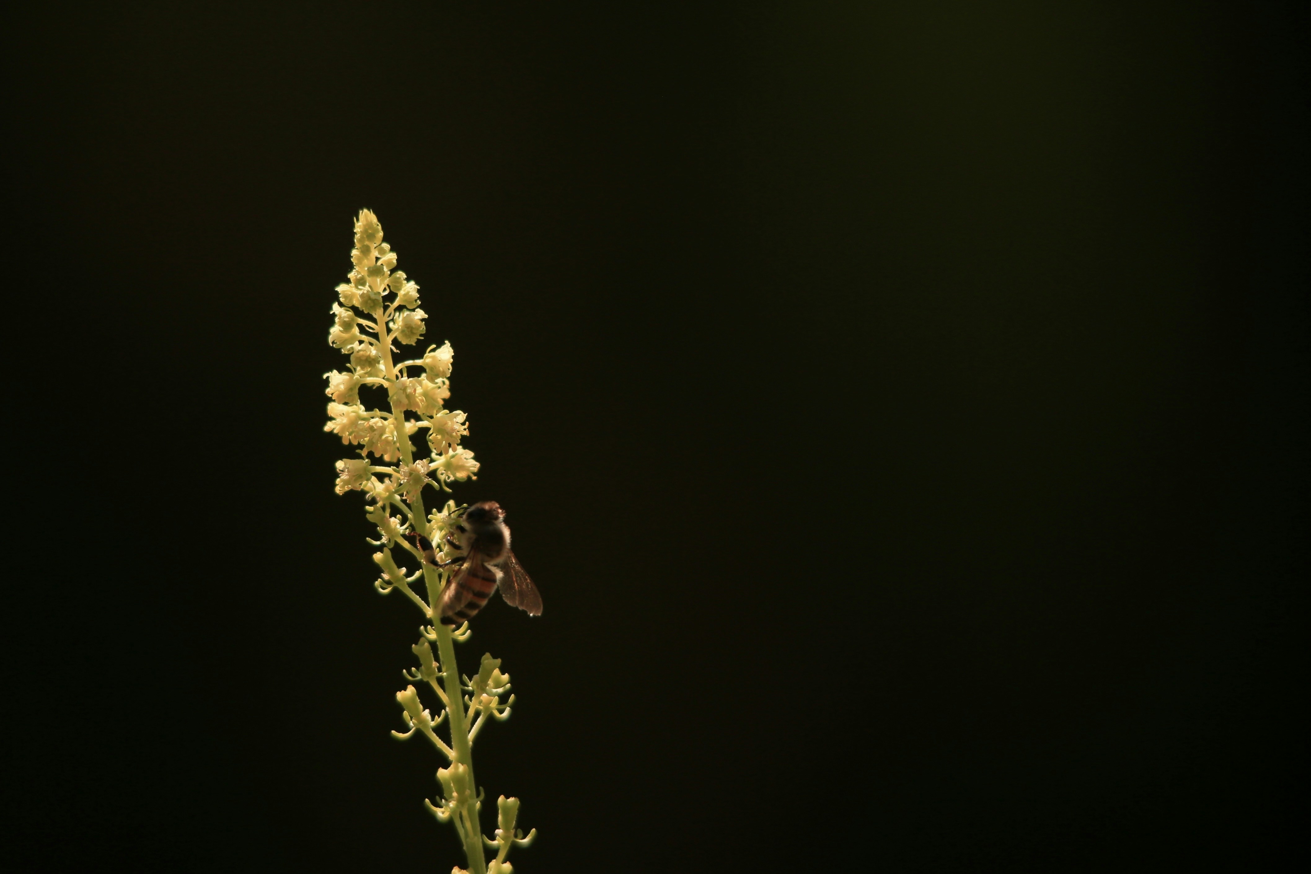 Photo by vial_sofiane