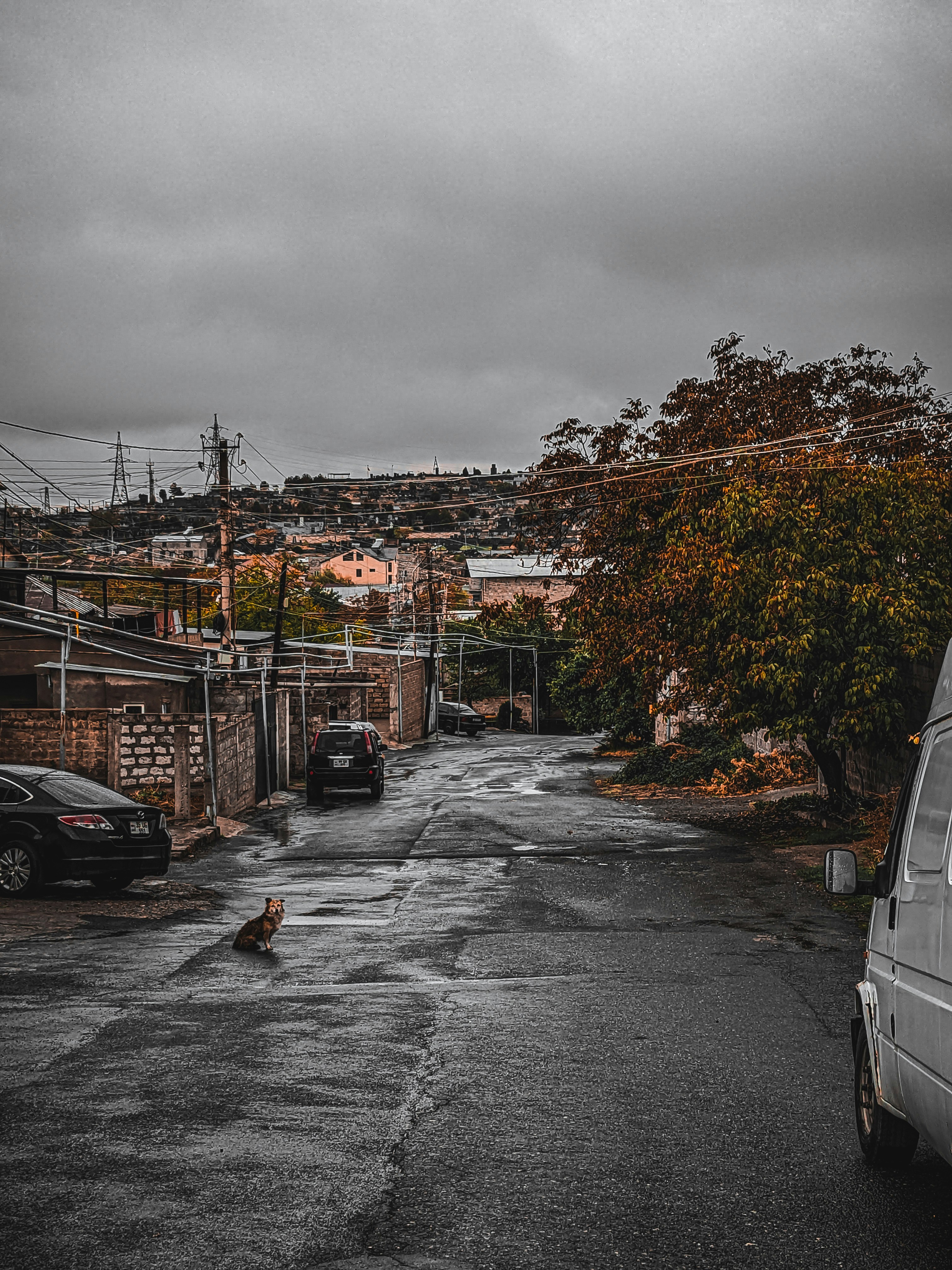 Photo by darkpro1337