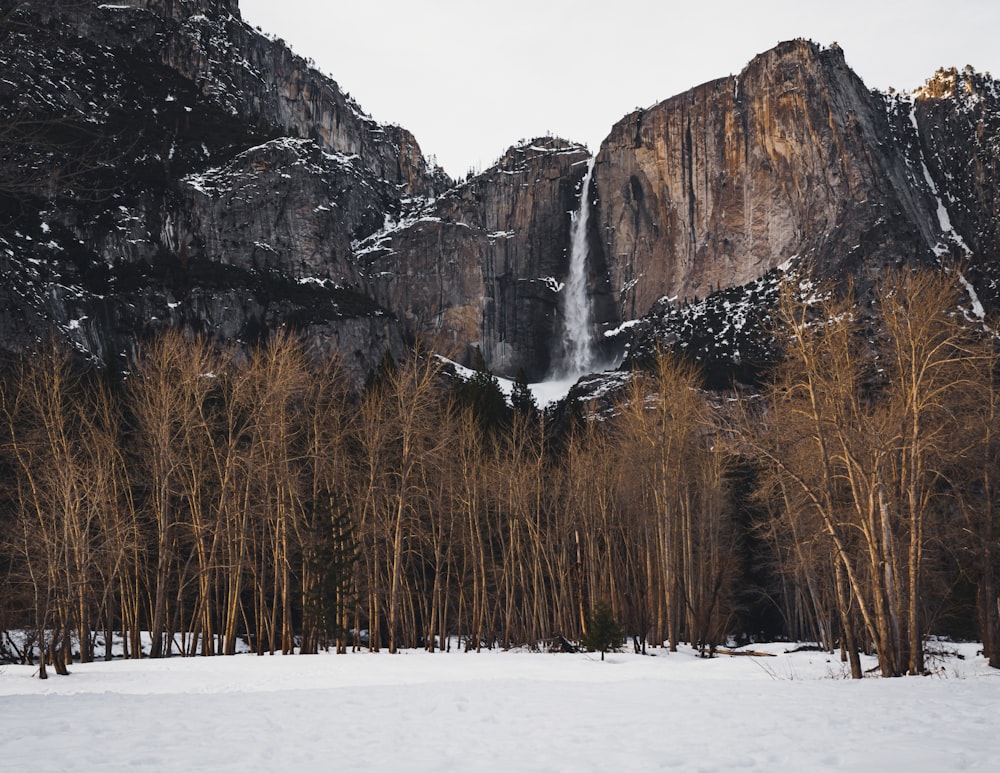 a snowy mountain landscape