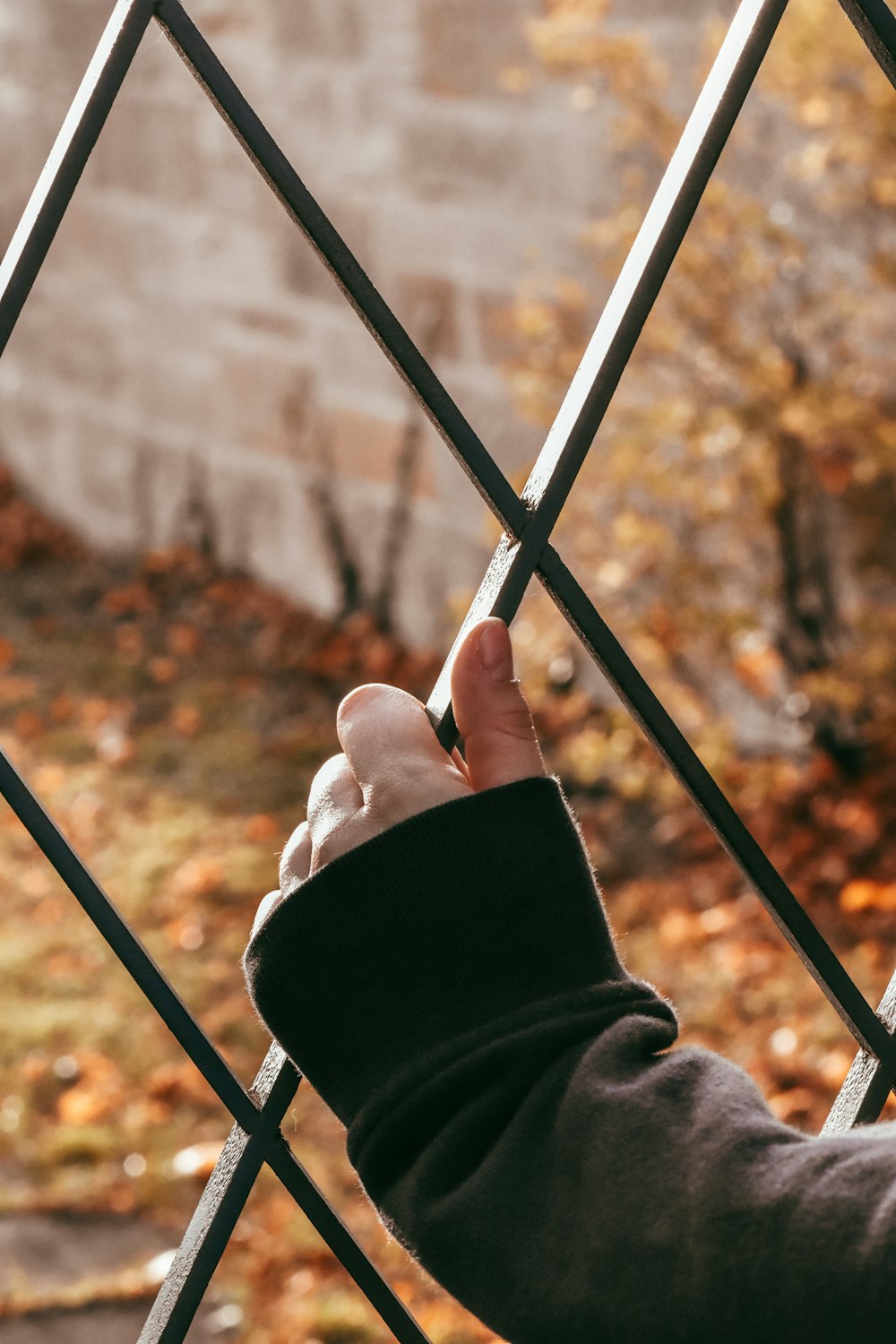 a person holding a fishing rod