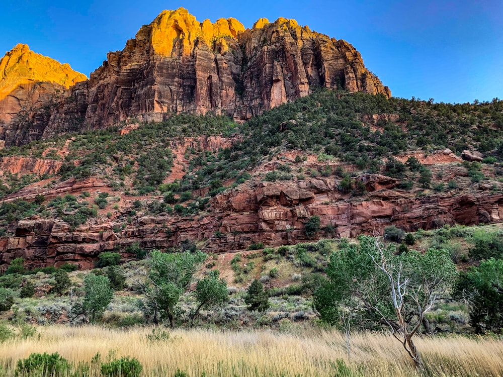 a rocky mountain with trees