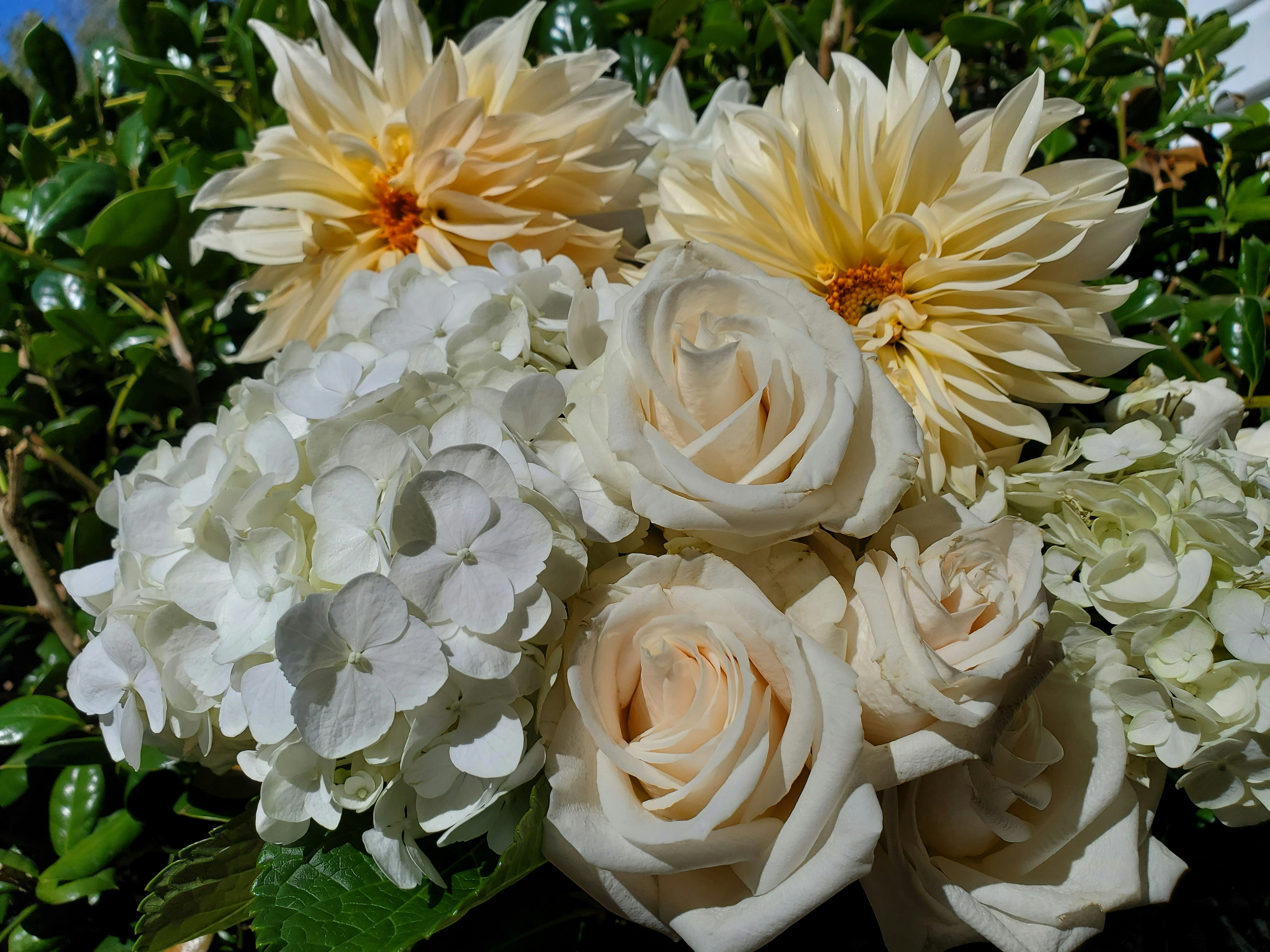 Flowers After a Divorce
