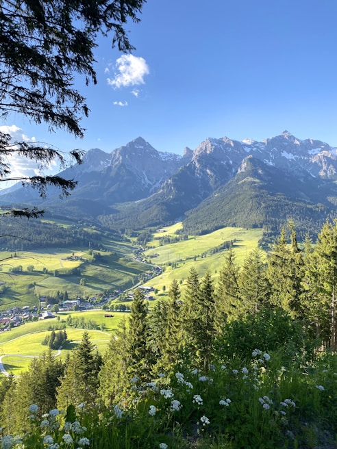 Scenic view of Chamoli's lush green valleys framed by towering snow-covered mountains under a clear blue sky