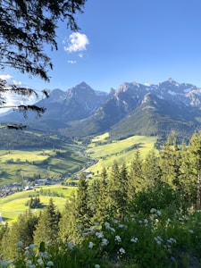 A picturesque landscape featuring majestic snow-capped mountains under a clear blue sky. The valley is lush and green, dotted with small villages and winding roads. Dense forests of pine trees are visible in the foreground with wildflowers blooming.