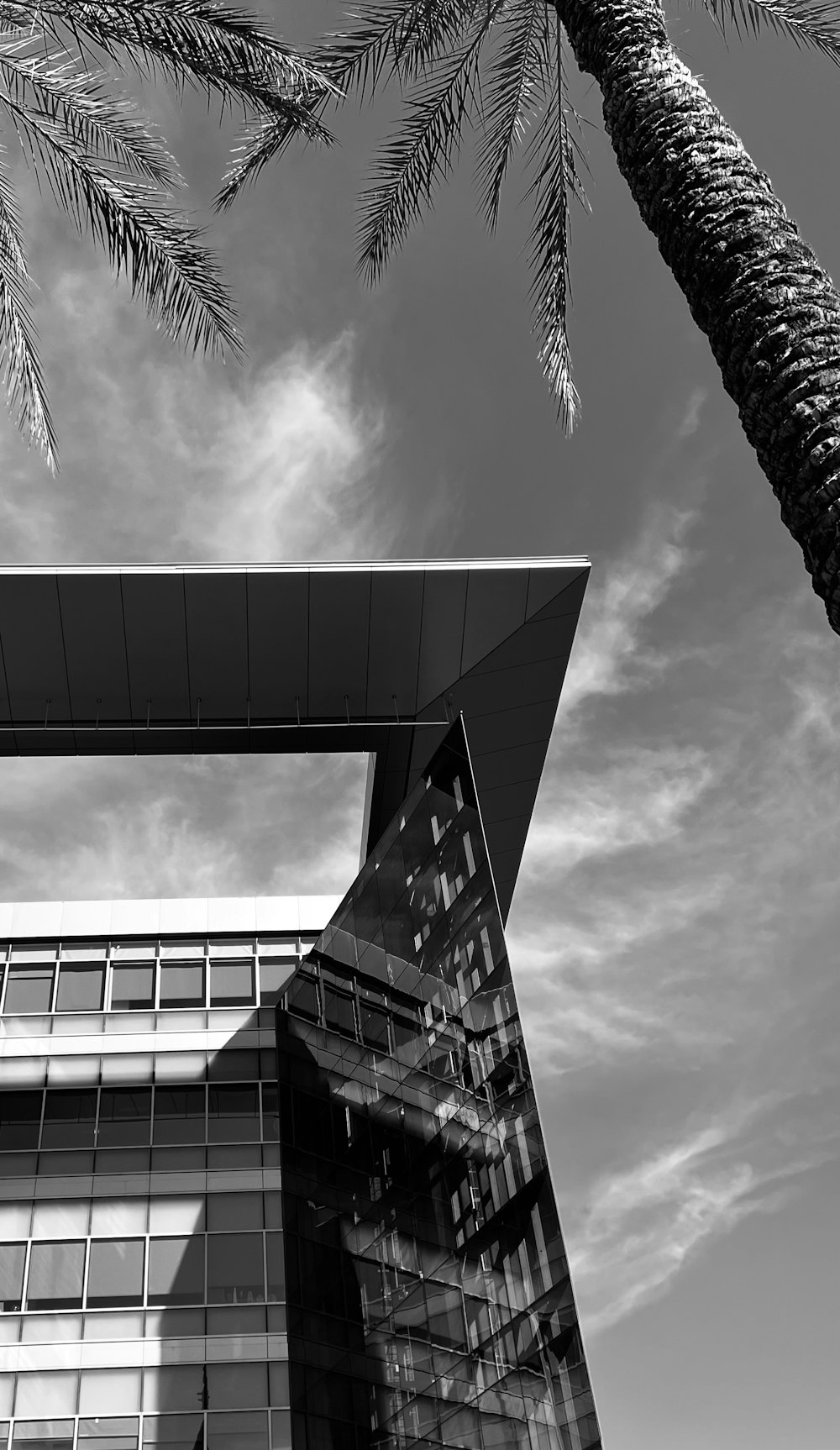 a tall building with a palm tree