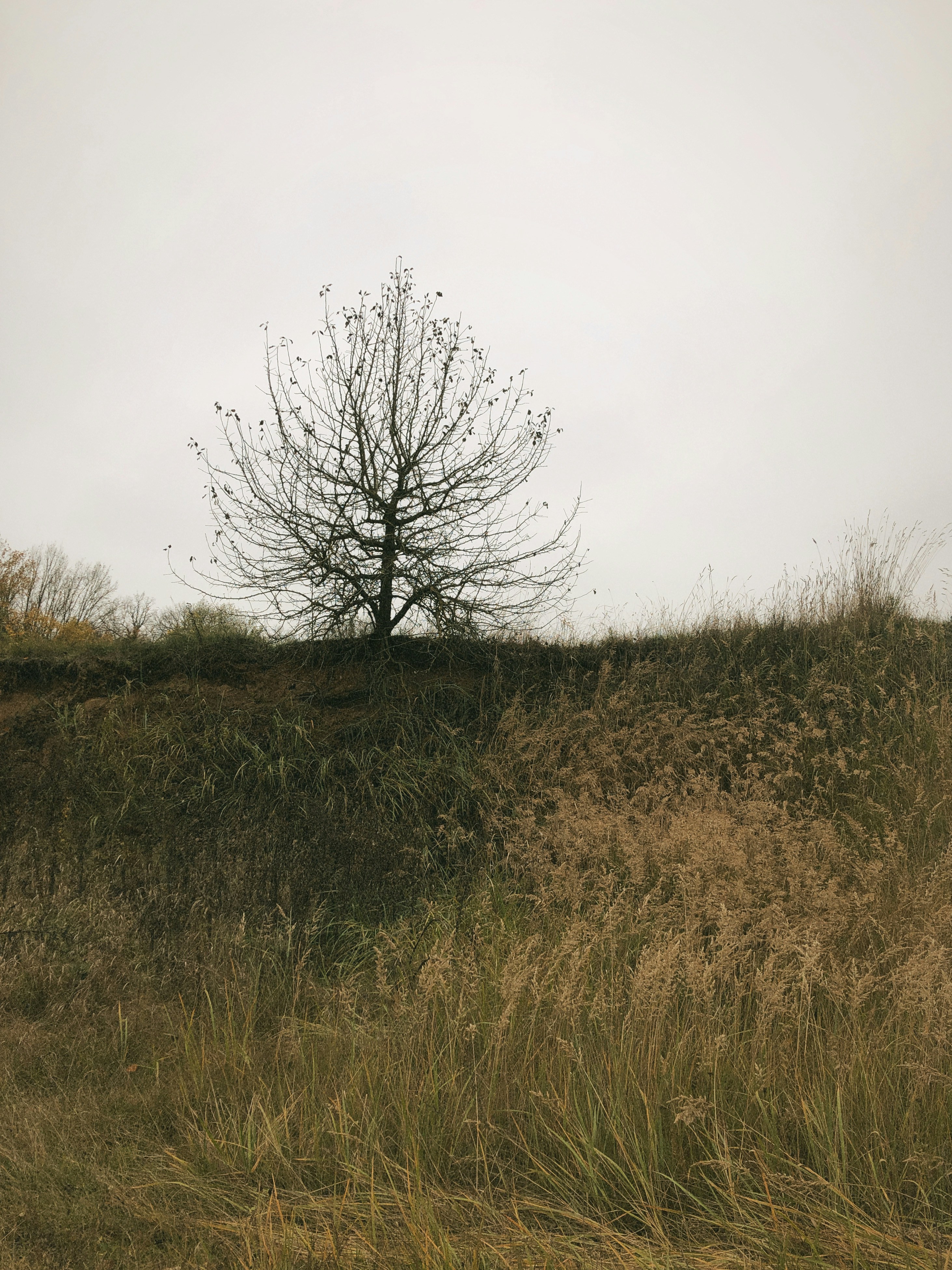 Photo by inna_lobacheva