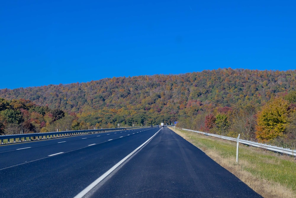 Une route arborée sur le côté