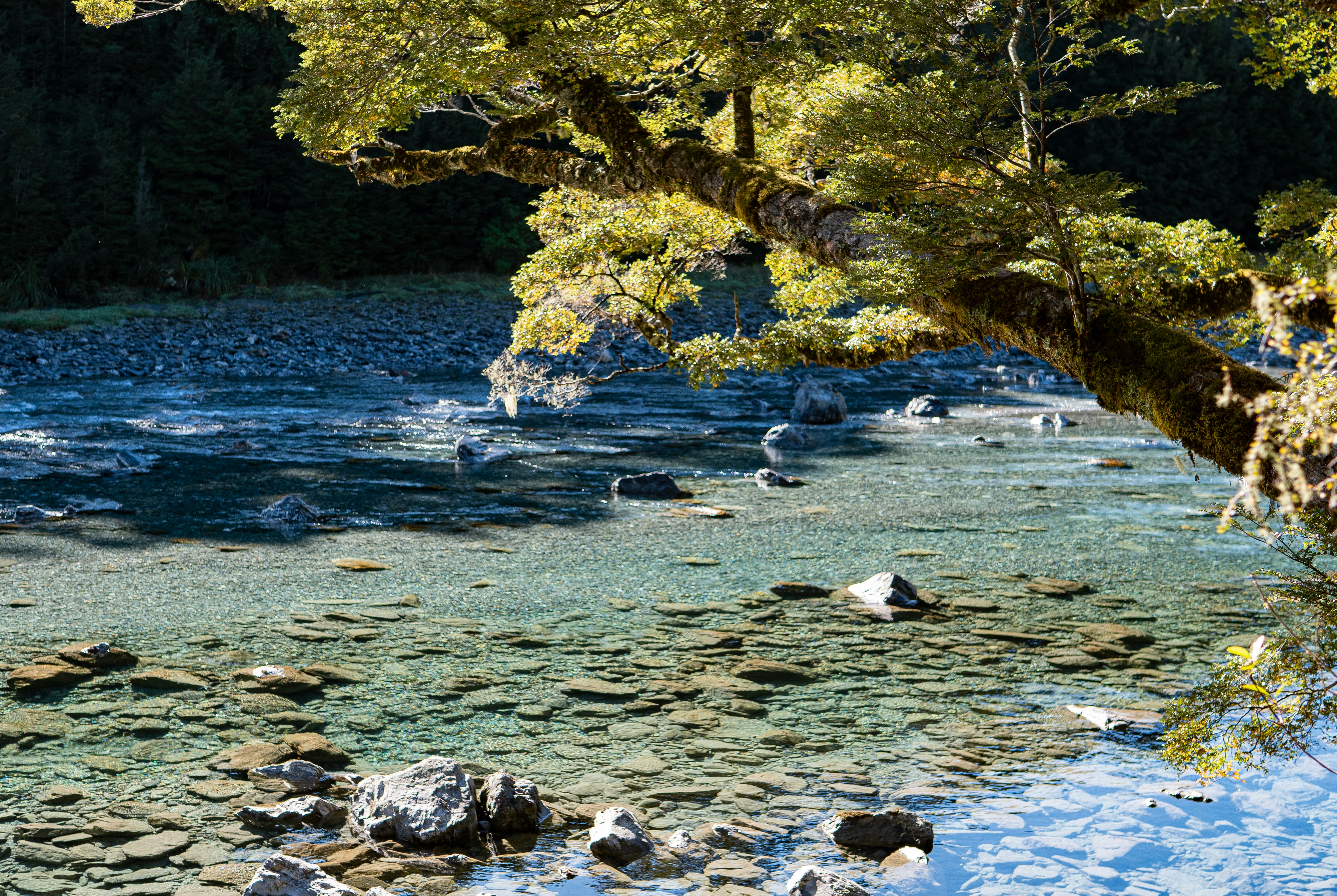 Photo by tototosia