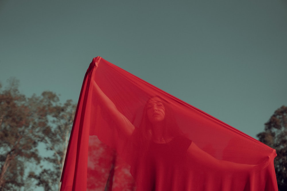 a red flag with a tree in the background