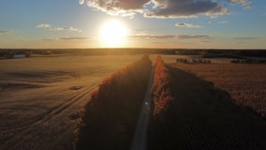 Sunset over rolling agricultural lands showing different crop plots and a dirt road