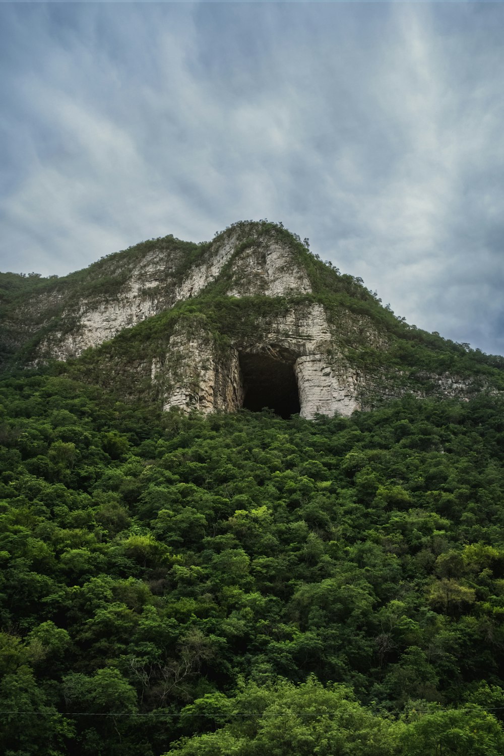 a large rock formation with trees below