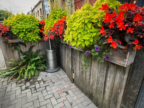a fence with plants and flowers