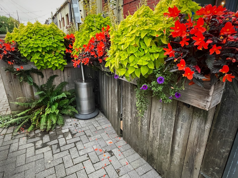 a fence with plants and flowers