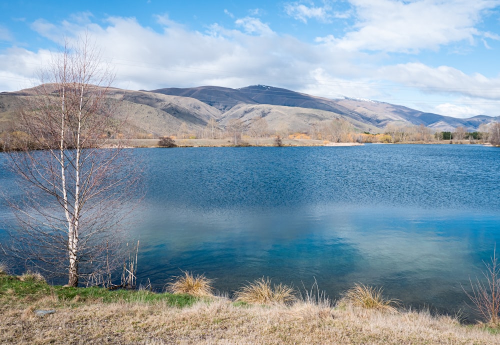 a lake with mountains in the background