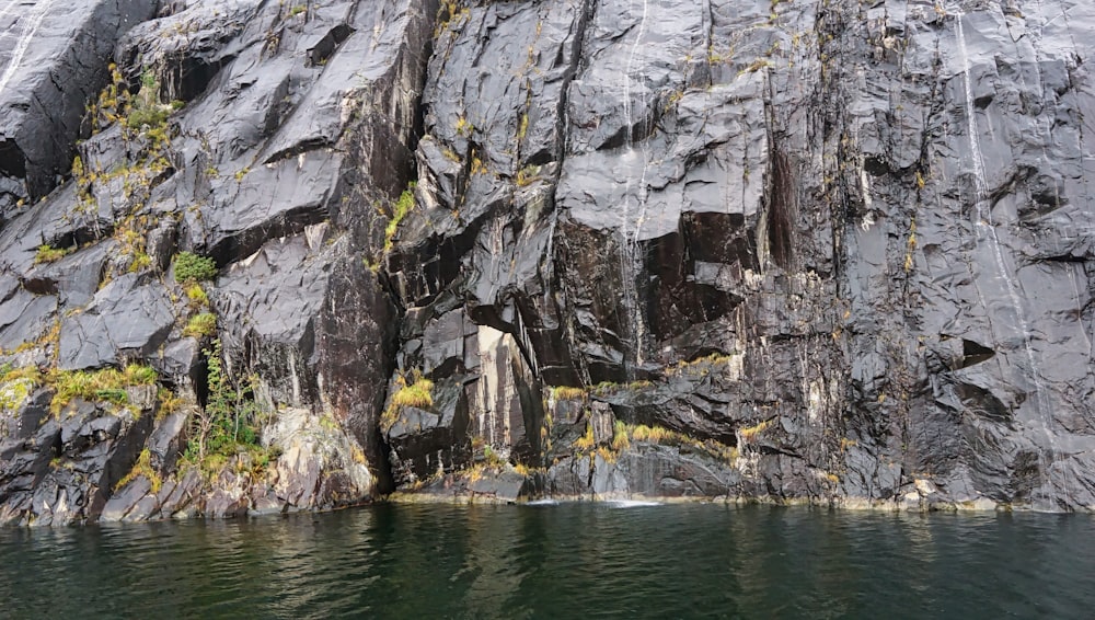 a body of water with a rocky cliff and plants on it