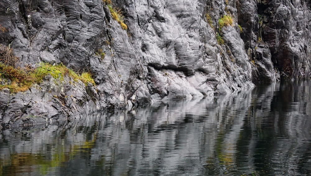 a body of water with rocks and plants around it