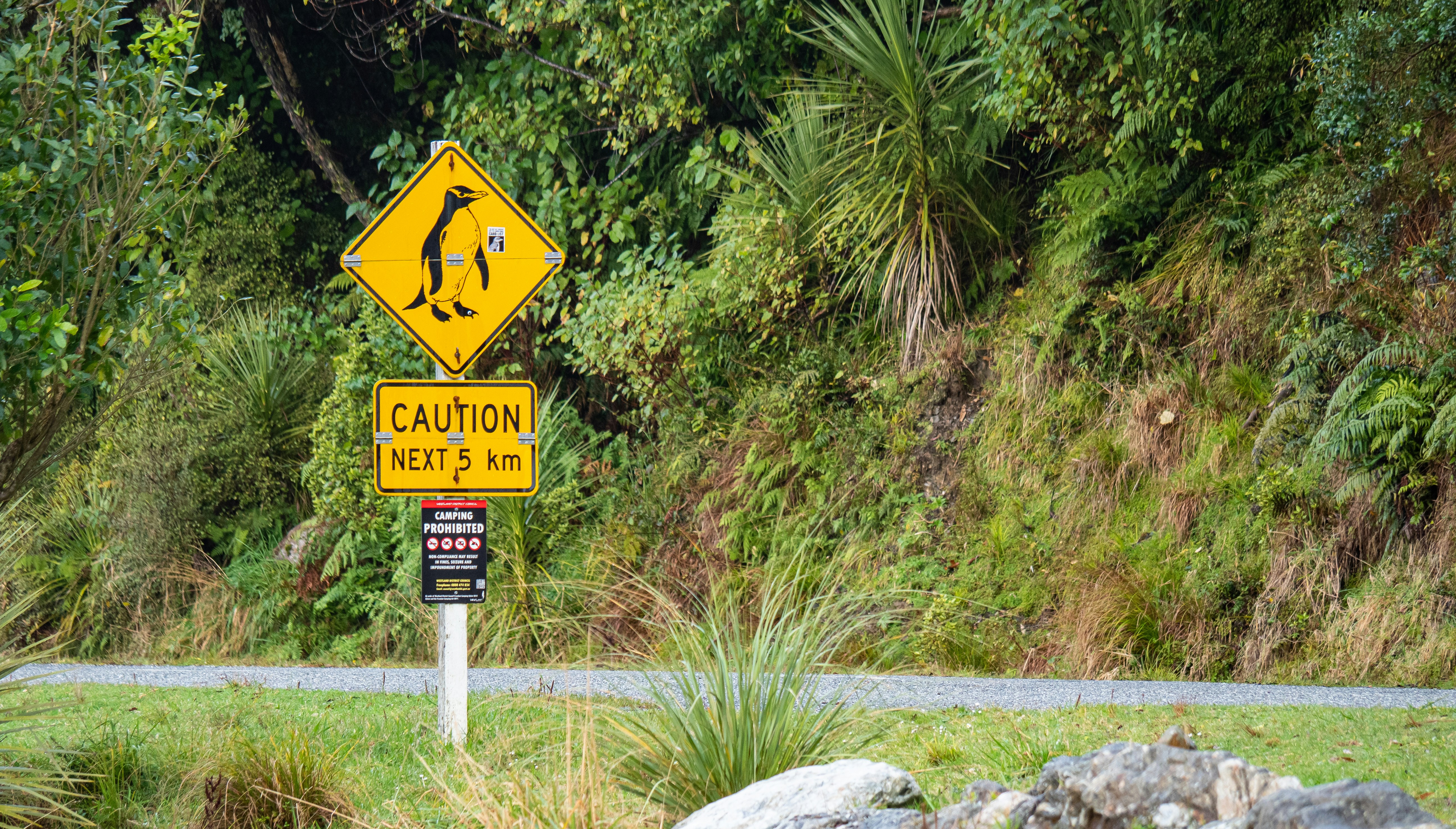 New Zealand IVL Update 2026: Why you now pay $100 for conservation and tourism.