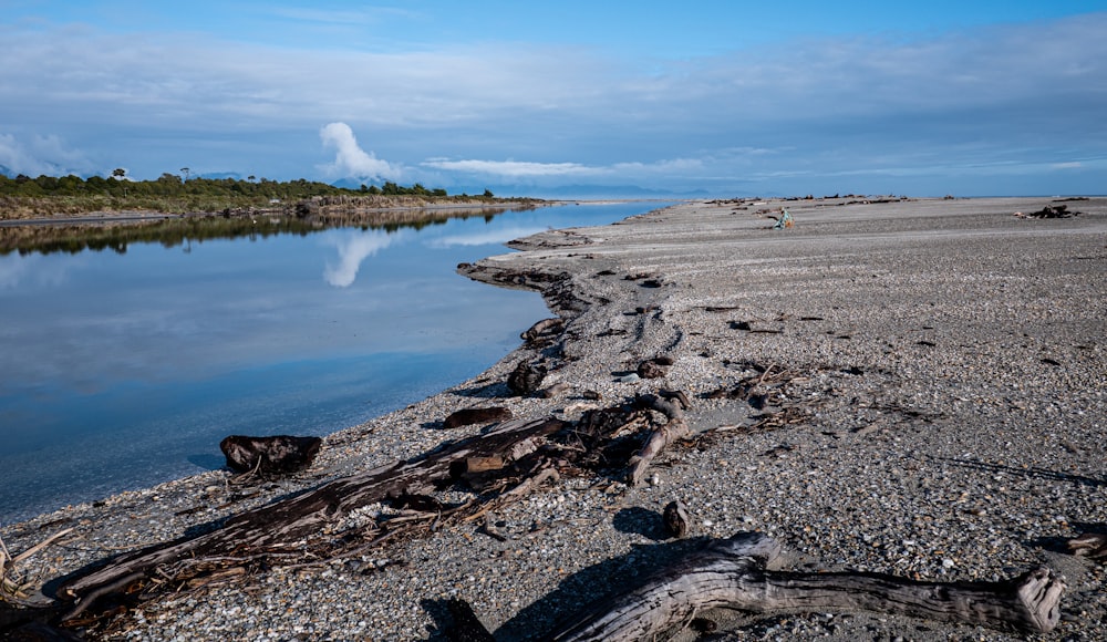 a rocky beach with a body of water in the background