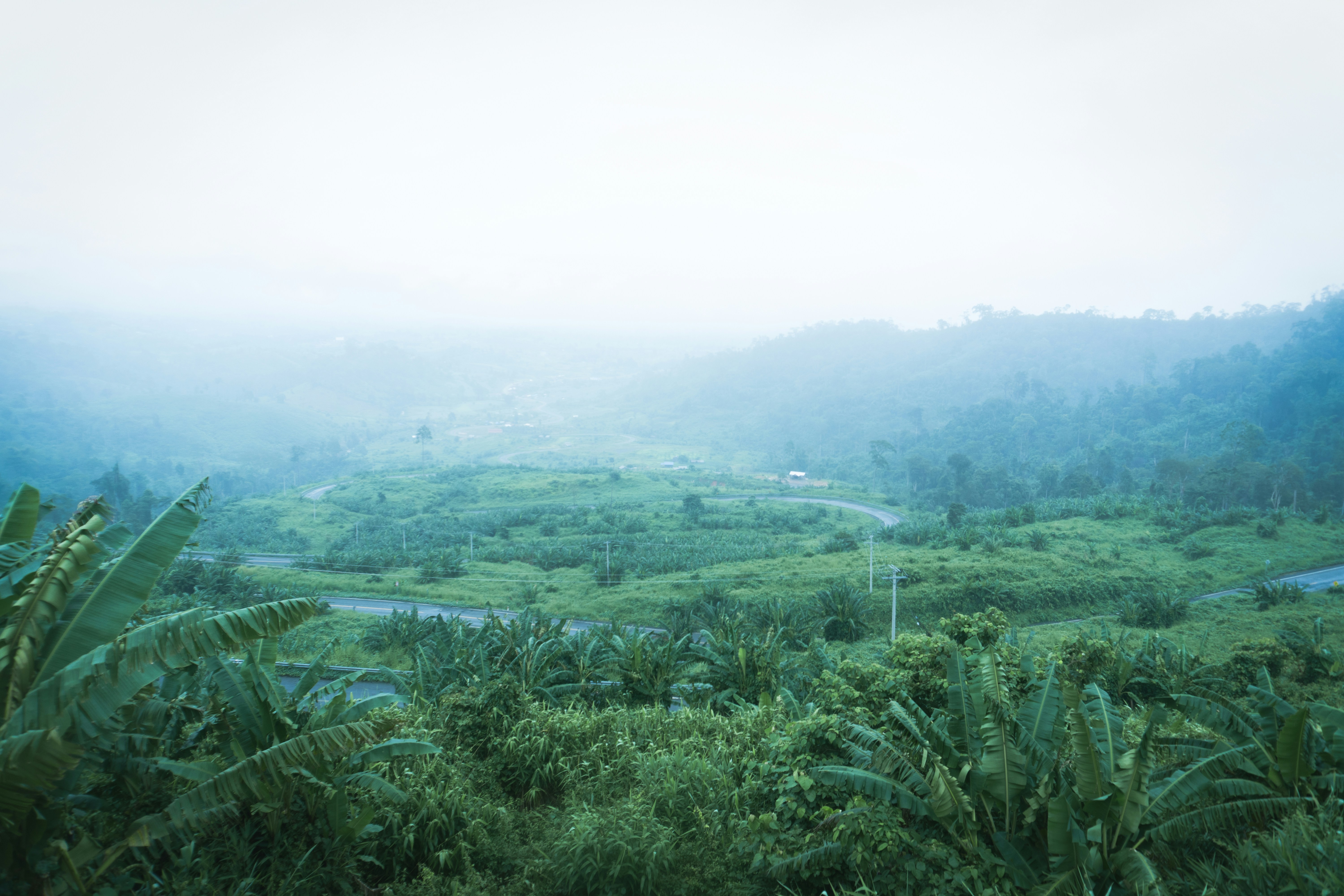 Ooty hill station with tea gardens, misty mountains, winding roads, bright green landscape