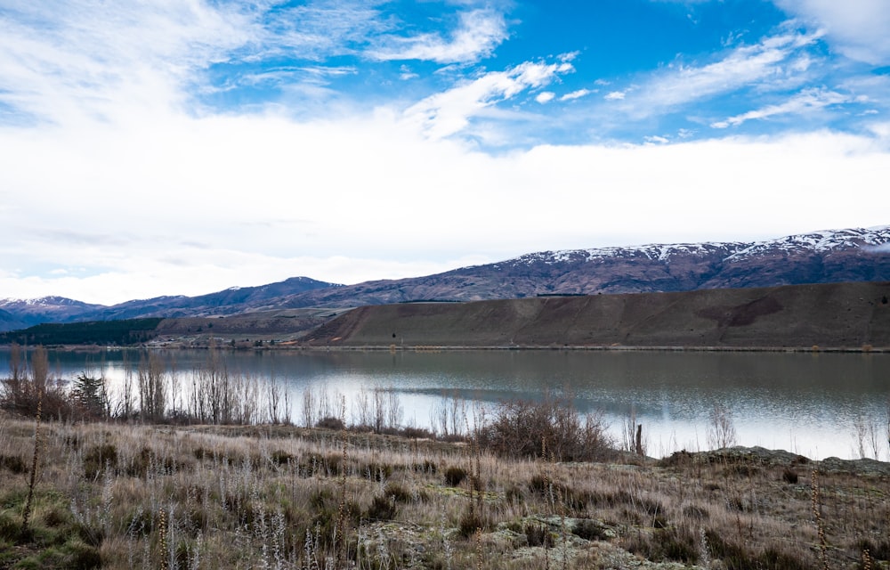 a lake surrounded by dry grass